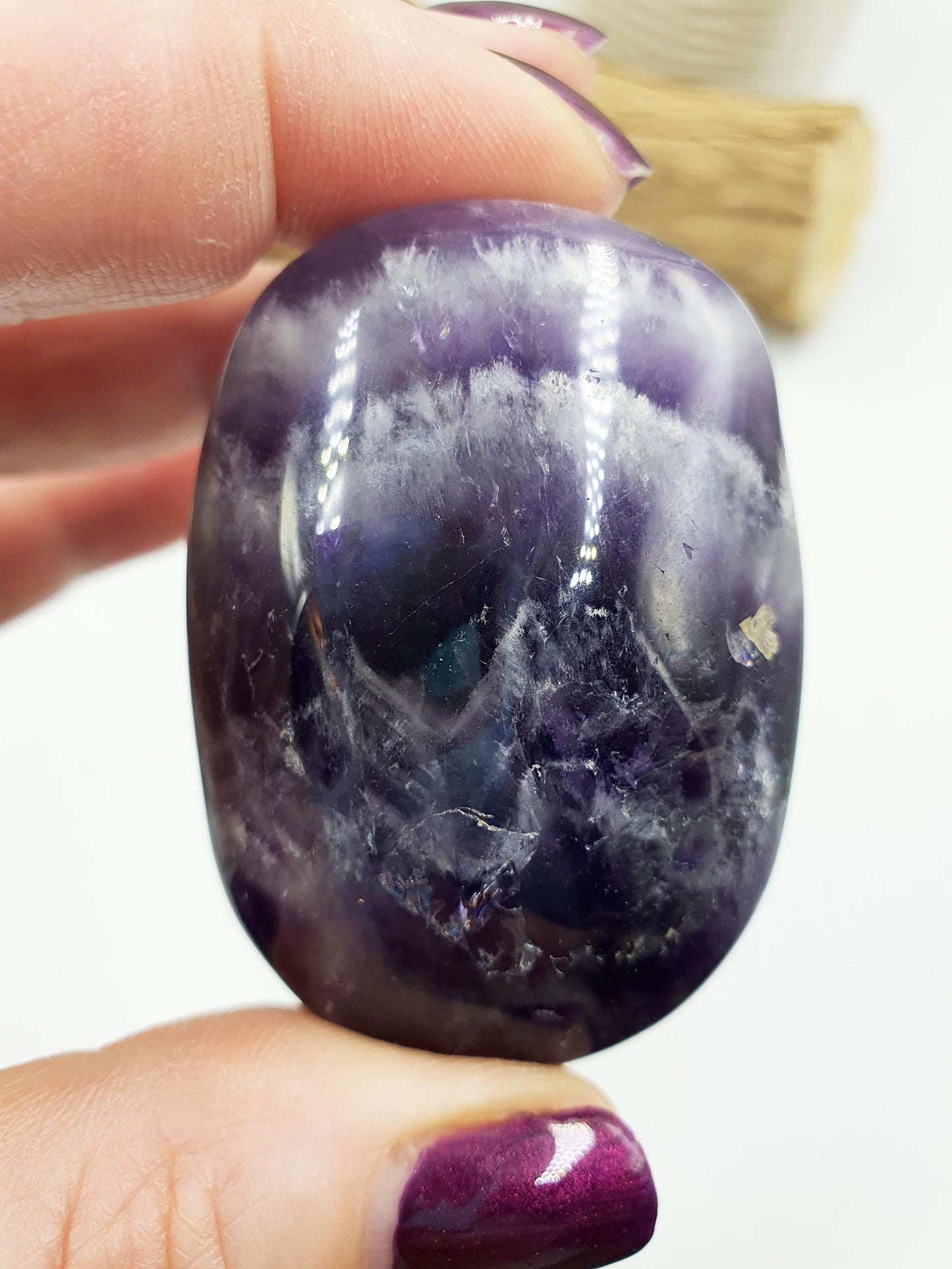 Dream Amethyst Palm