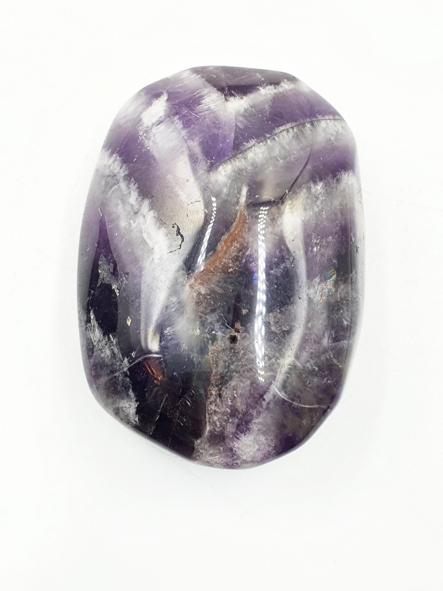 Dream Amethyst Palm