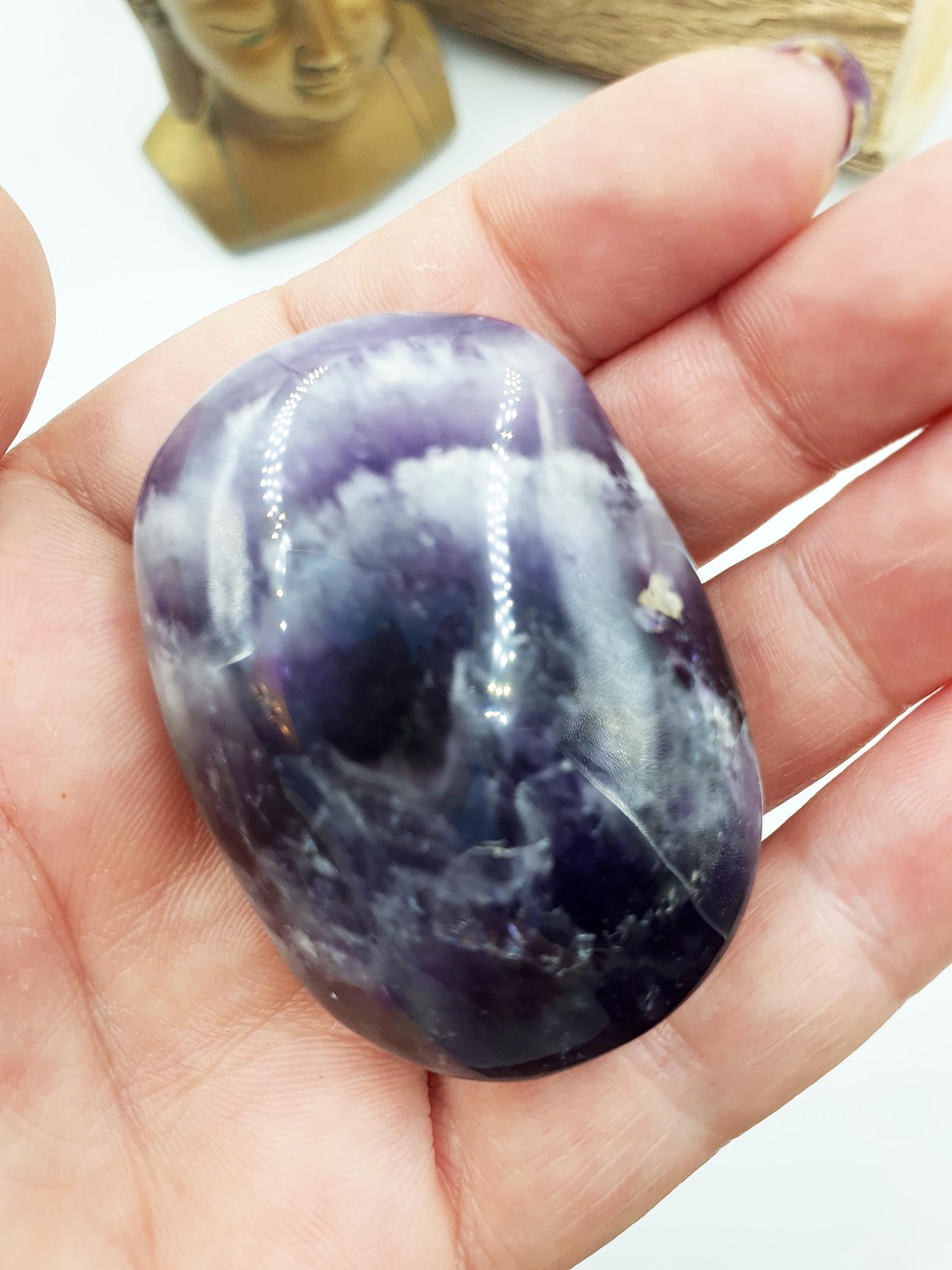 Dream Amethyst Palm