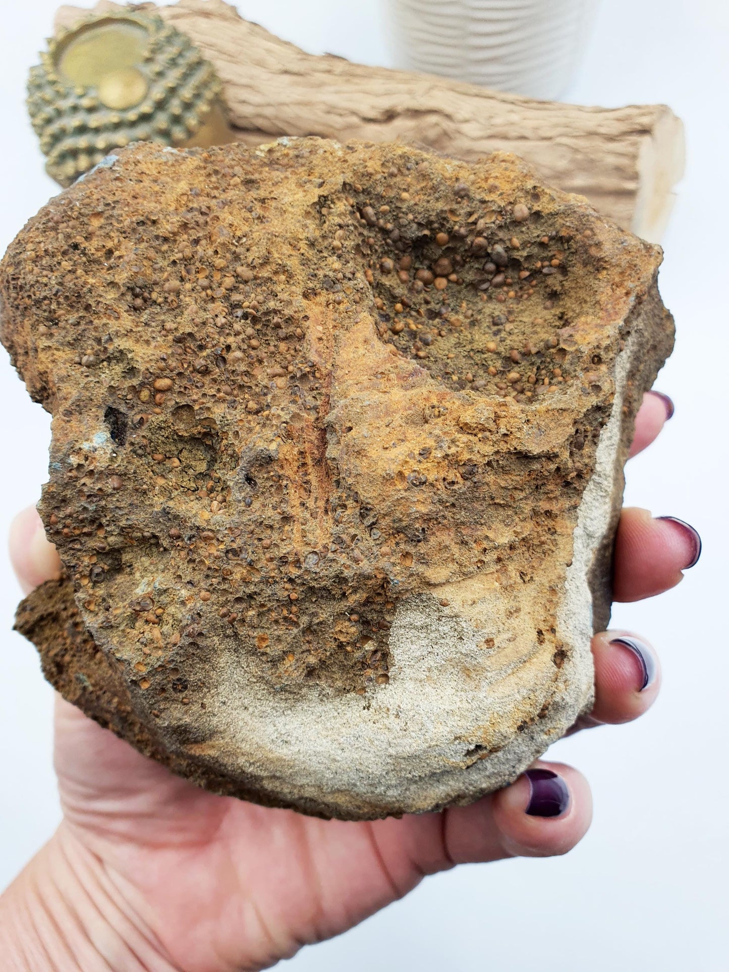 Large Raw Vivianite