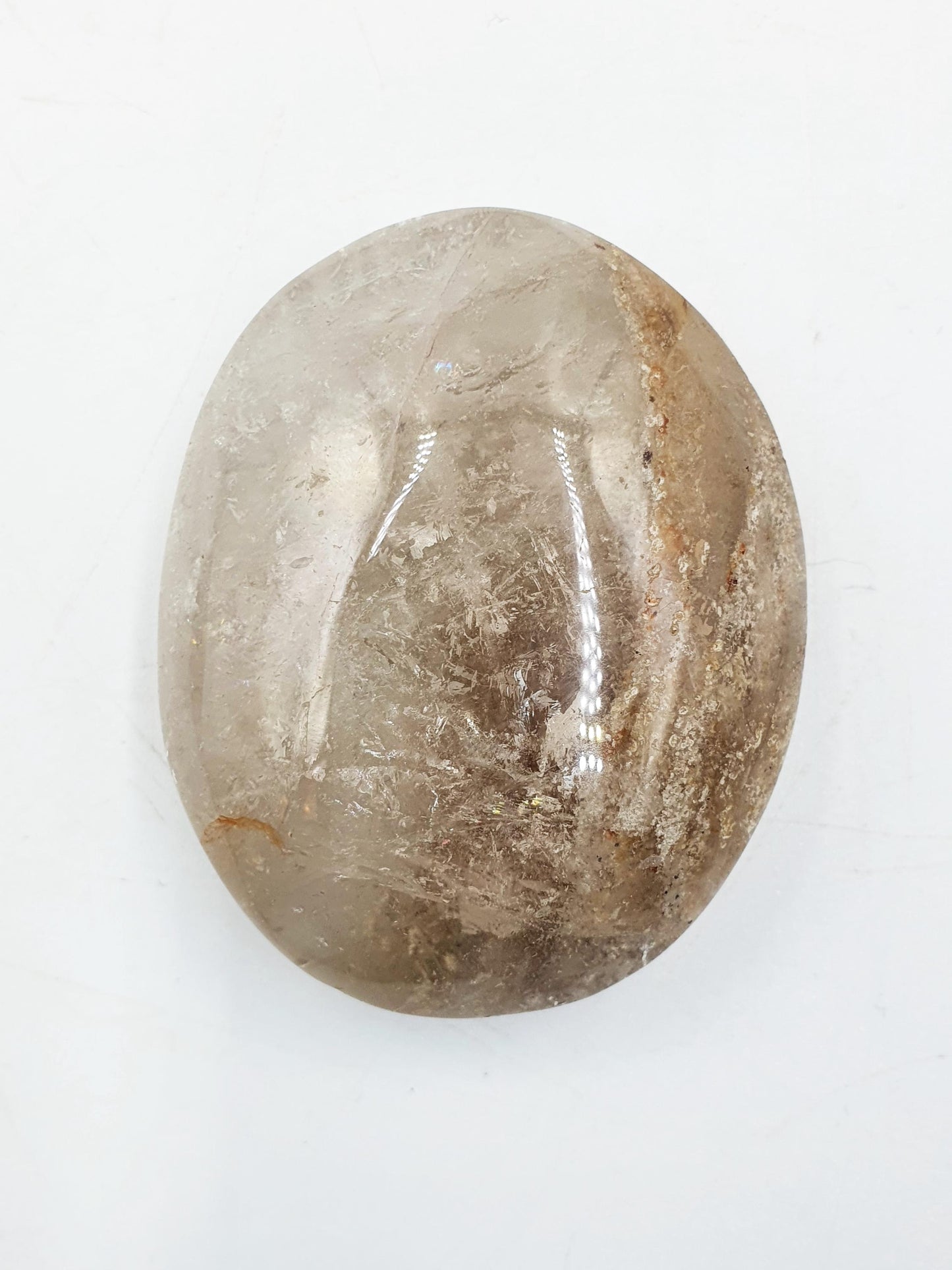 Flashy Thousand Layer Palm - Thoudand Layer (Lodolite) Palm Stone