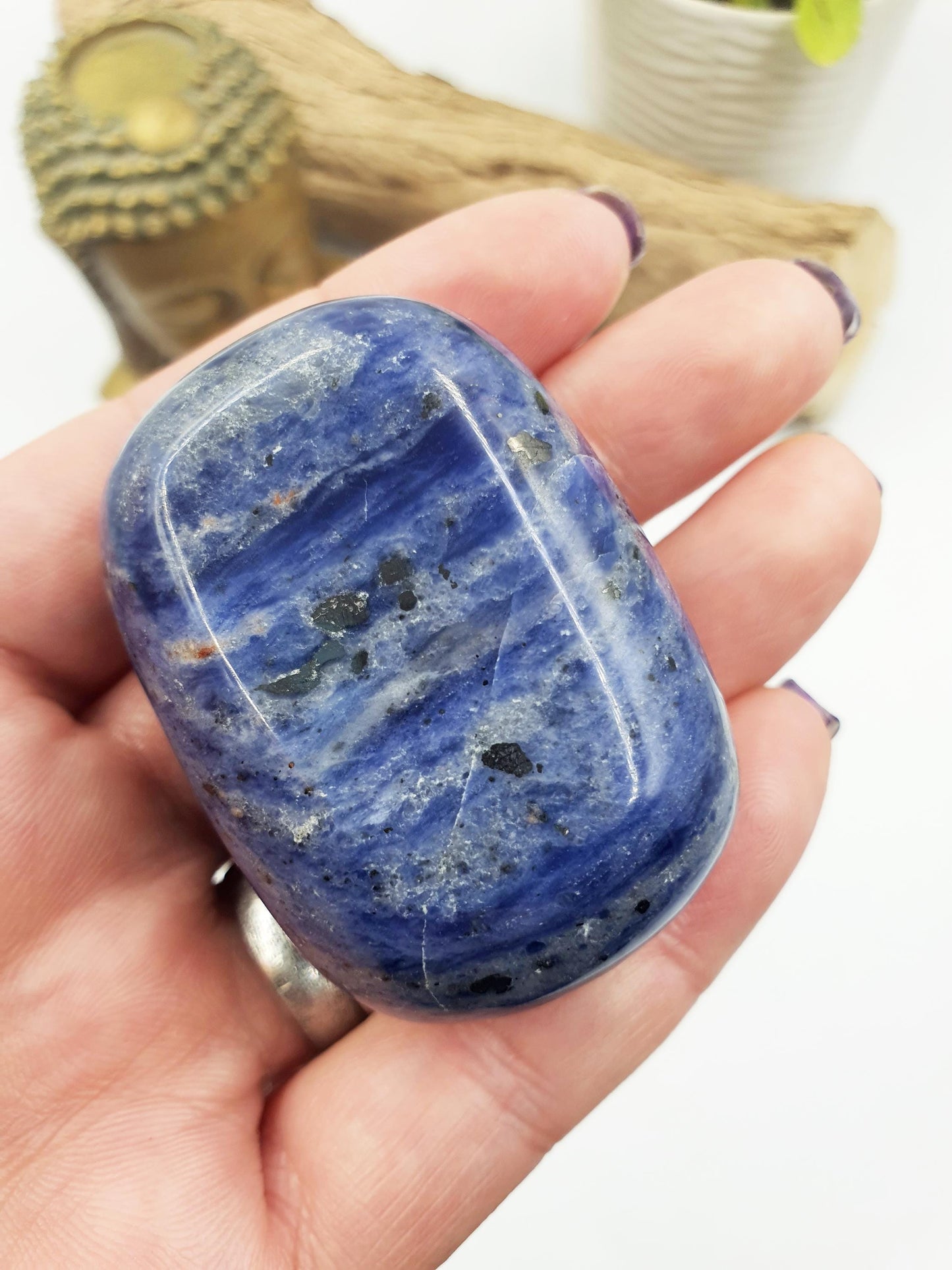 Sodalite Palm