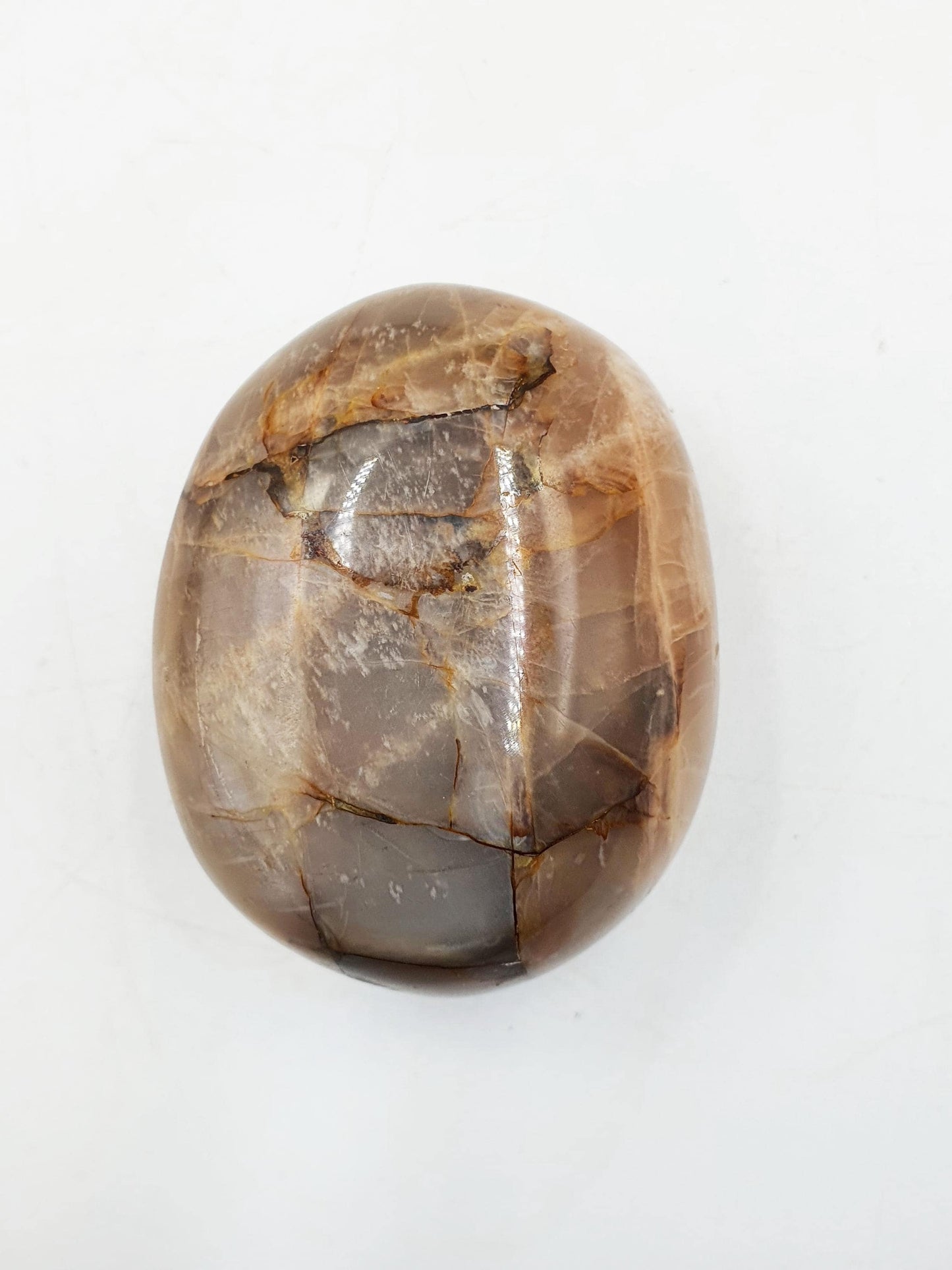 Flashy Moonstone Palm