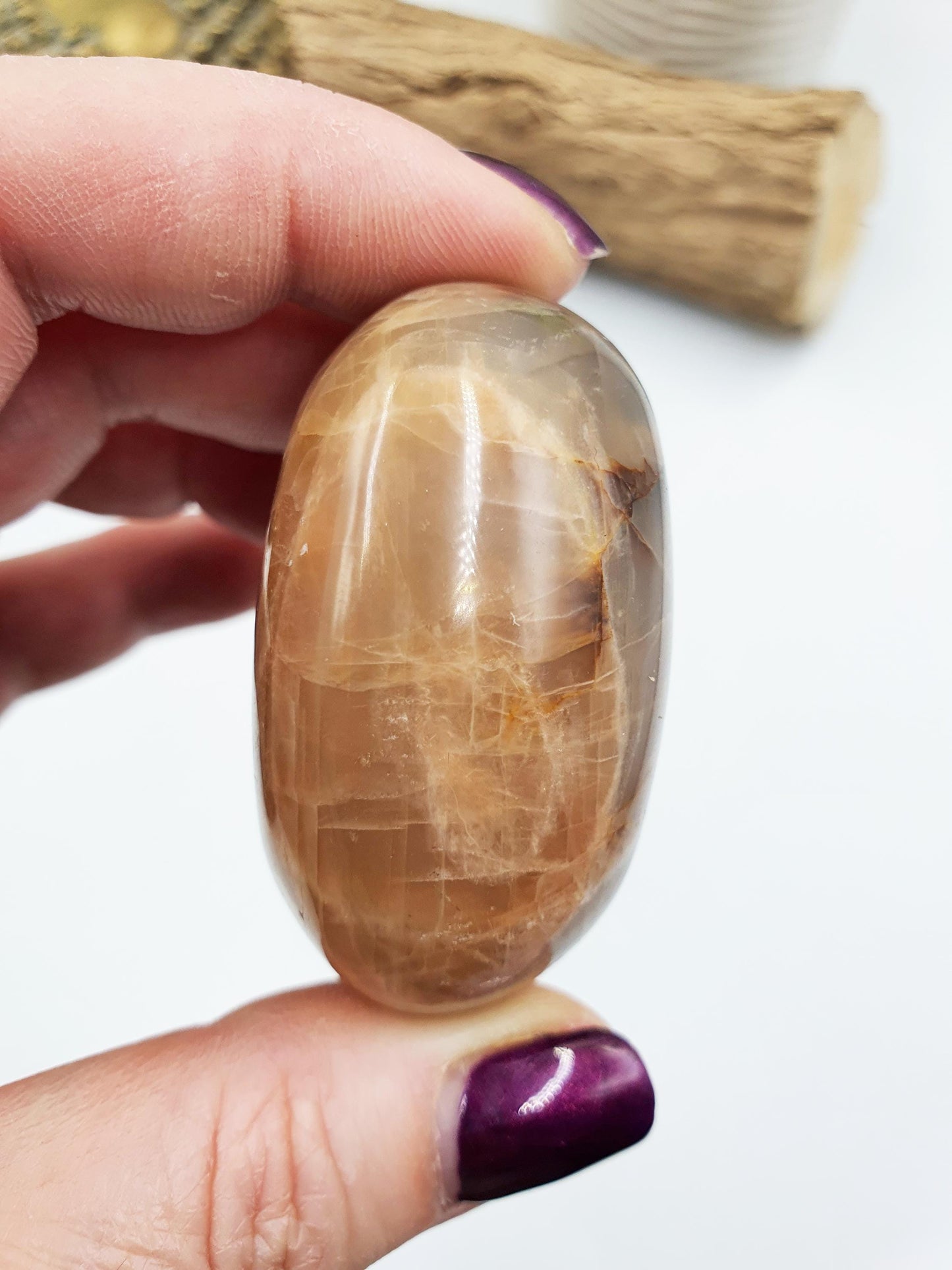Flashy Moonstone Palm