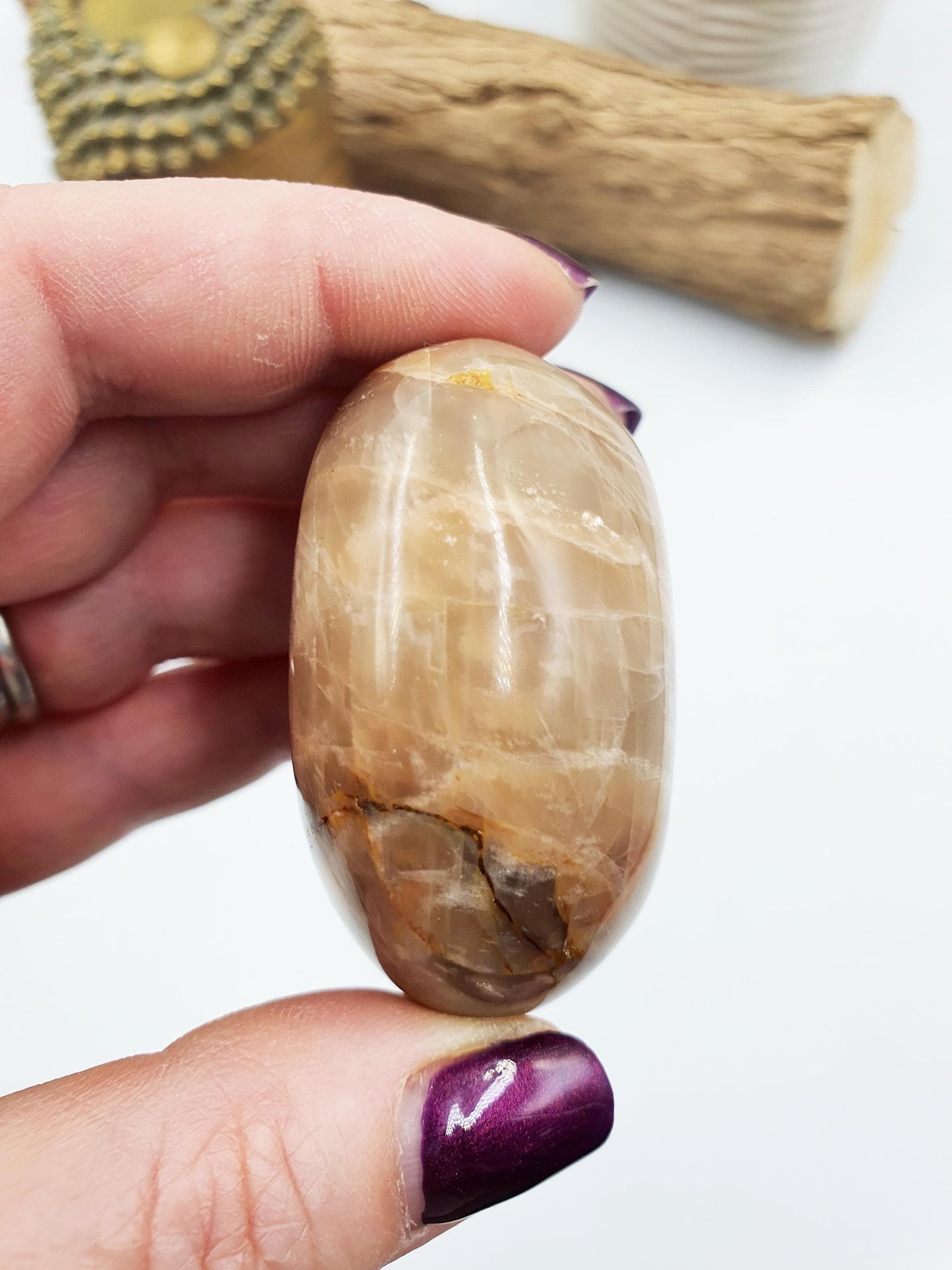 Flashy Moonstone Palm