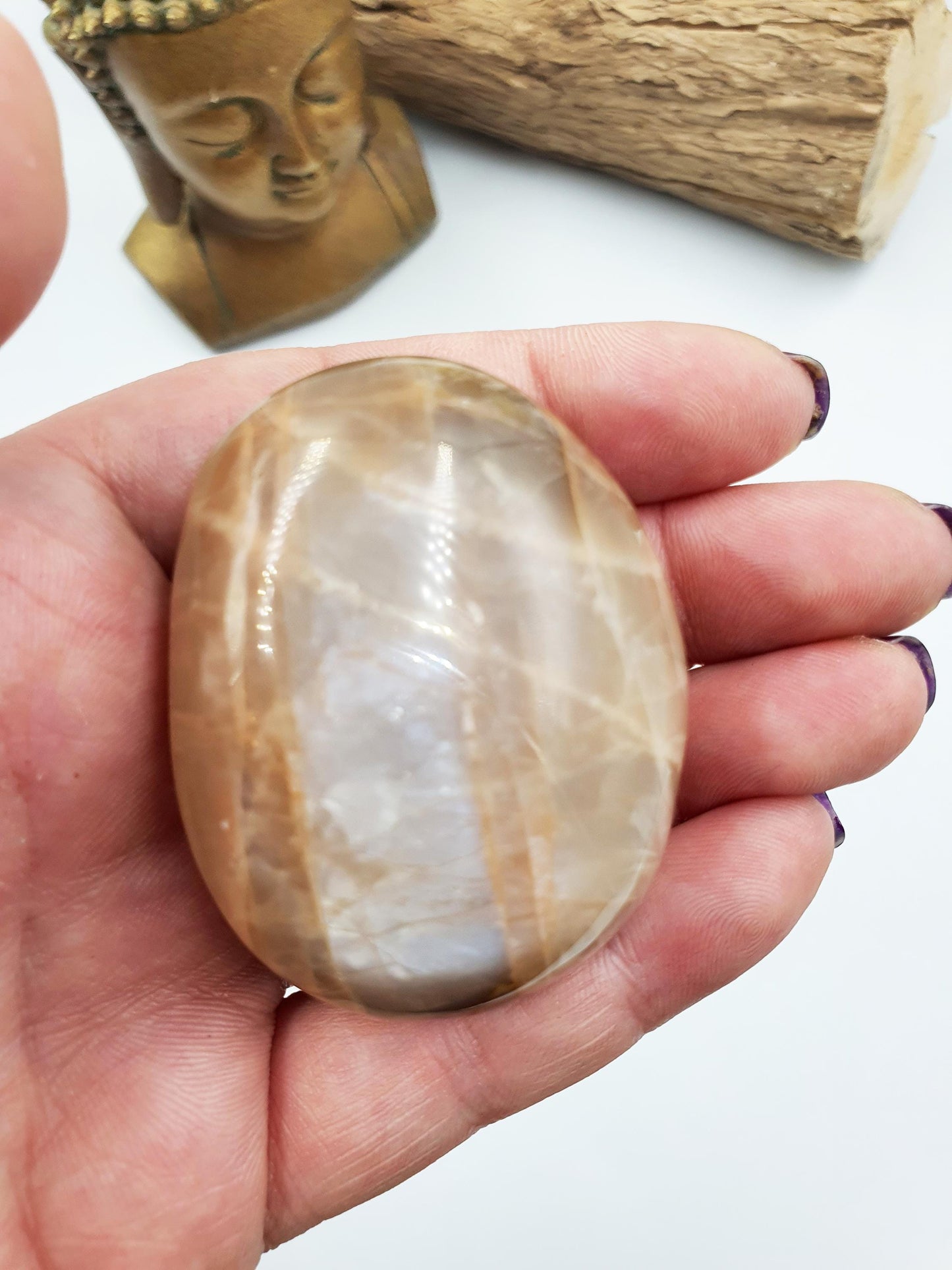 Flashy Moonstone Palm