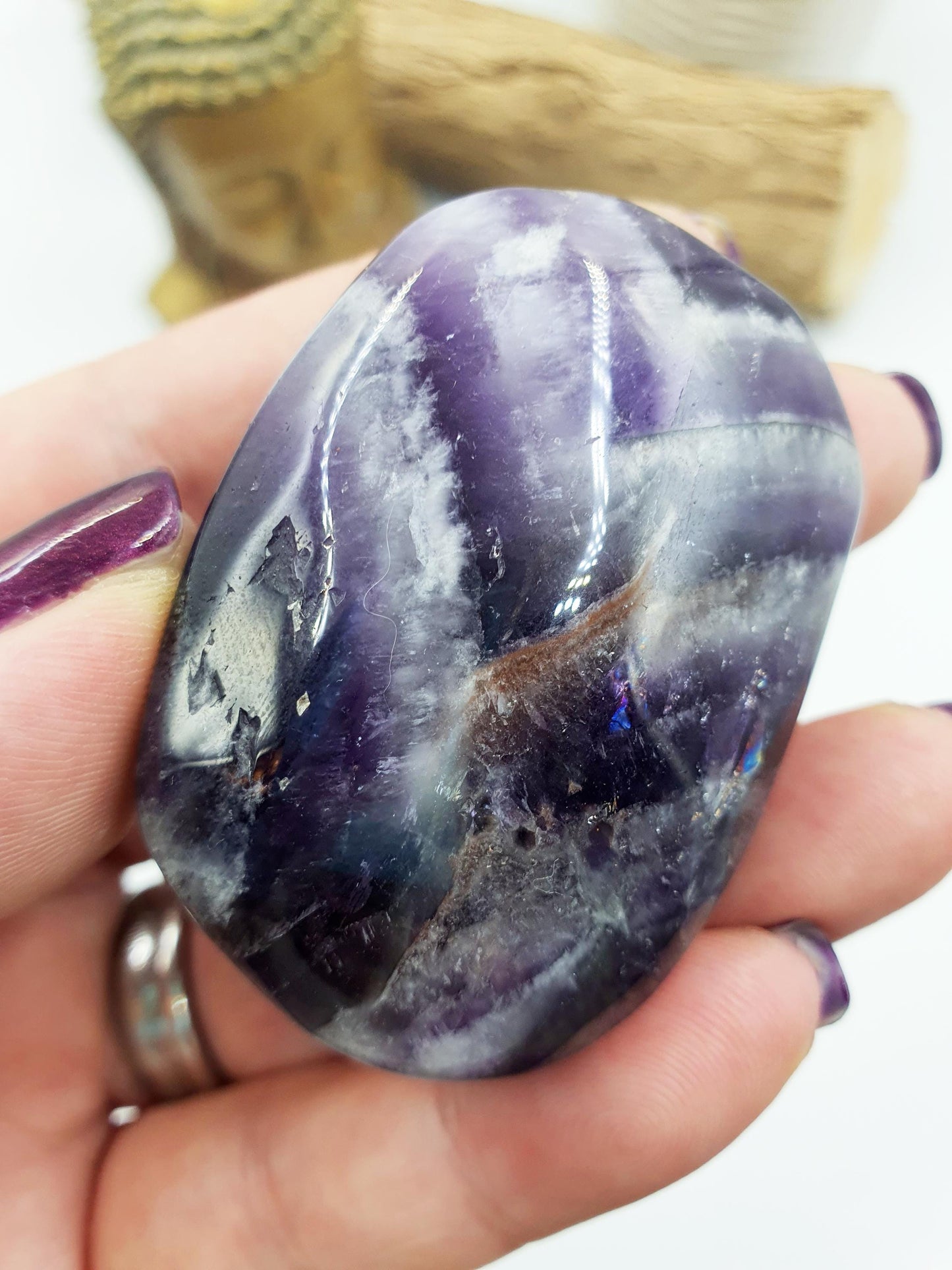 Dream Amethyst Palm