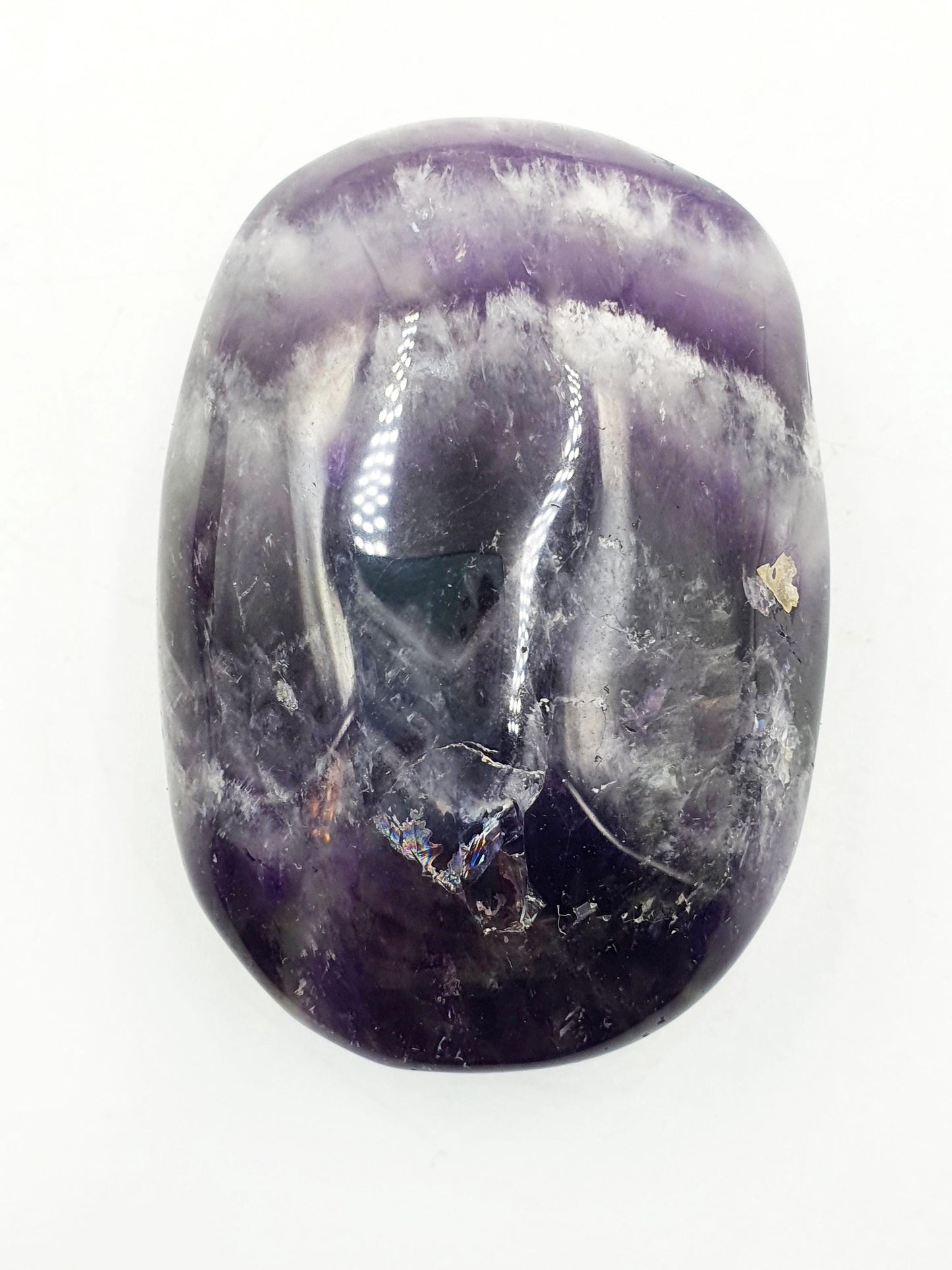 Dream Amethyst Palm