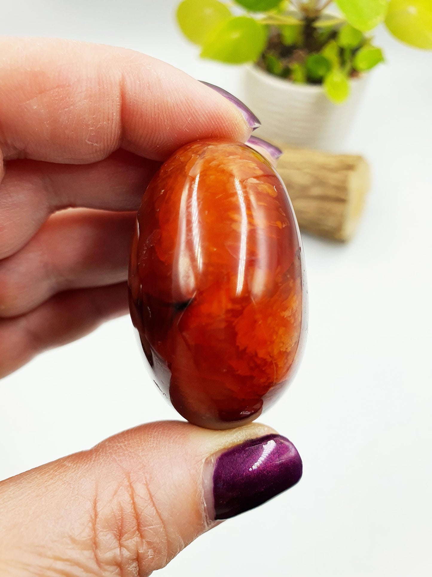 Large Carnelian Palm