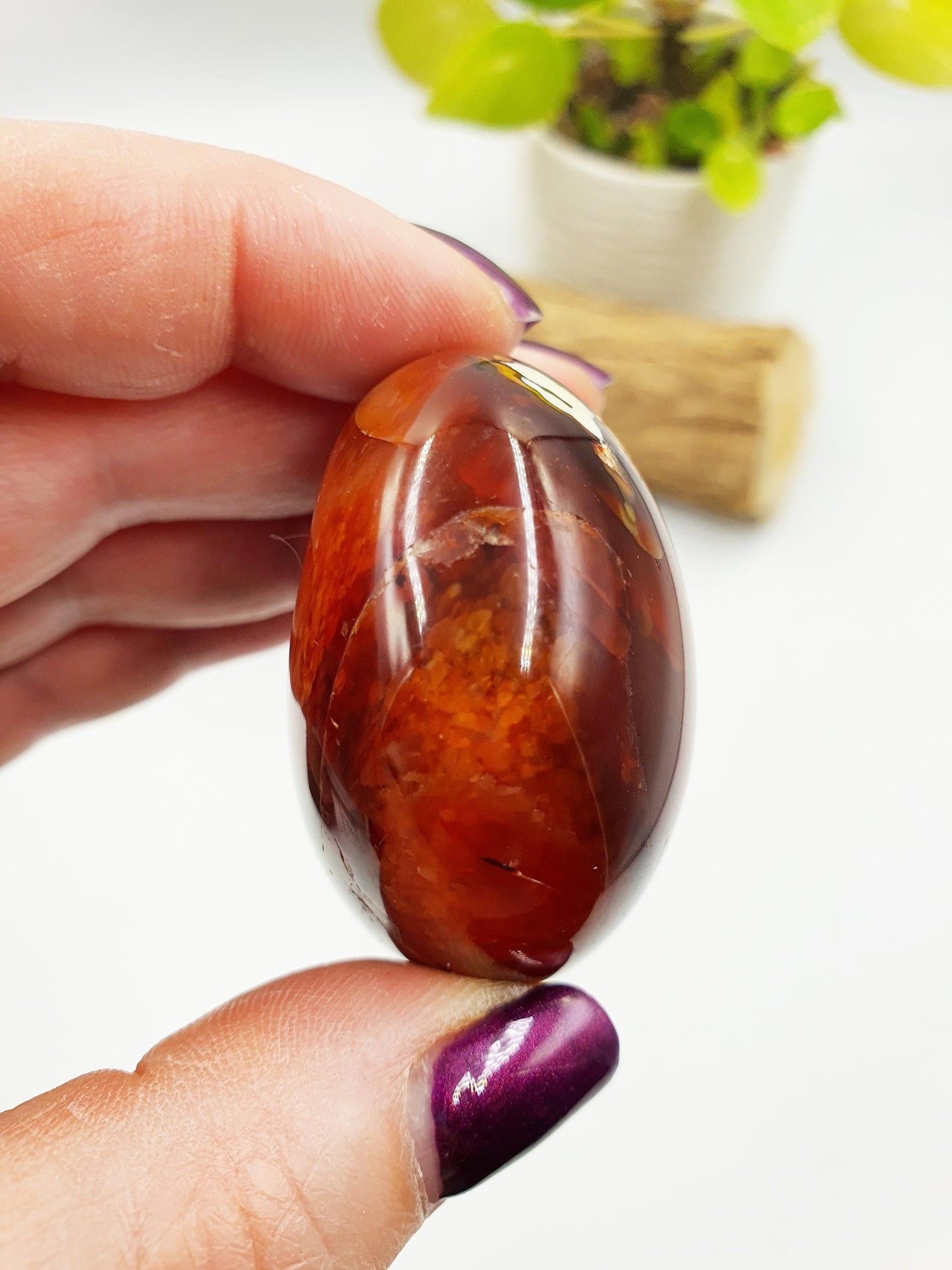 Large Carnelian Palm