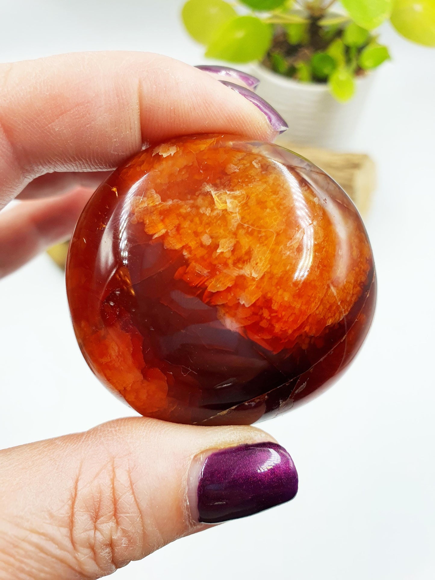 Large Carnelian Palm