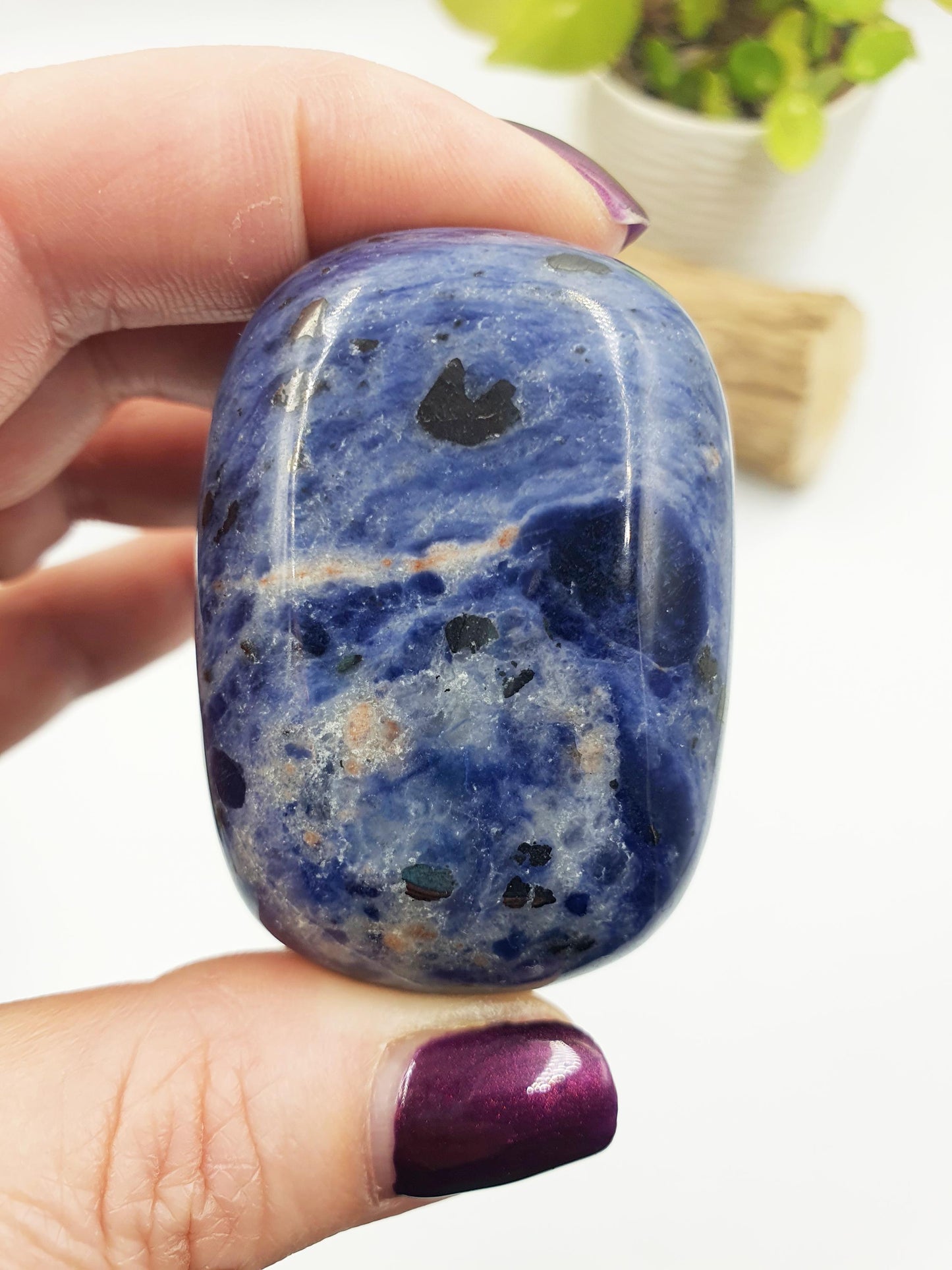Sodalite Palm