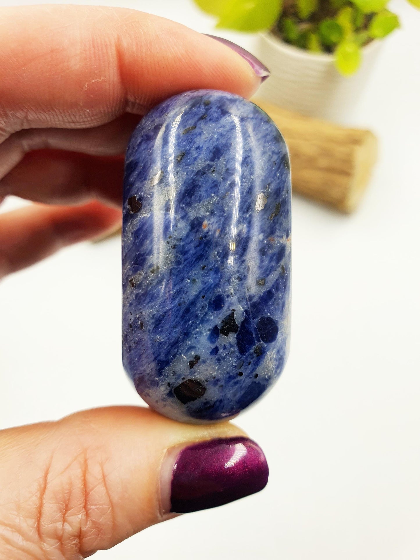 Sodalite Palm