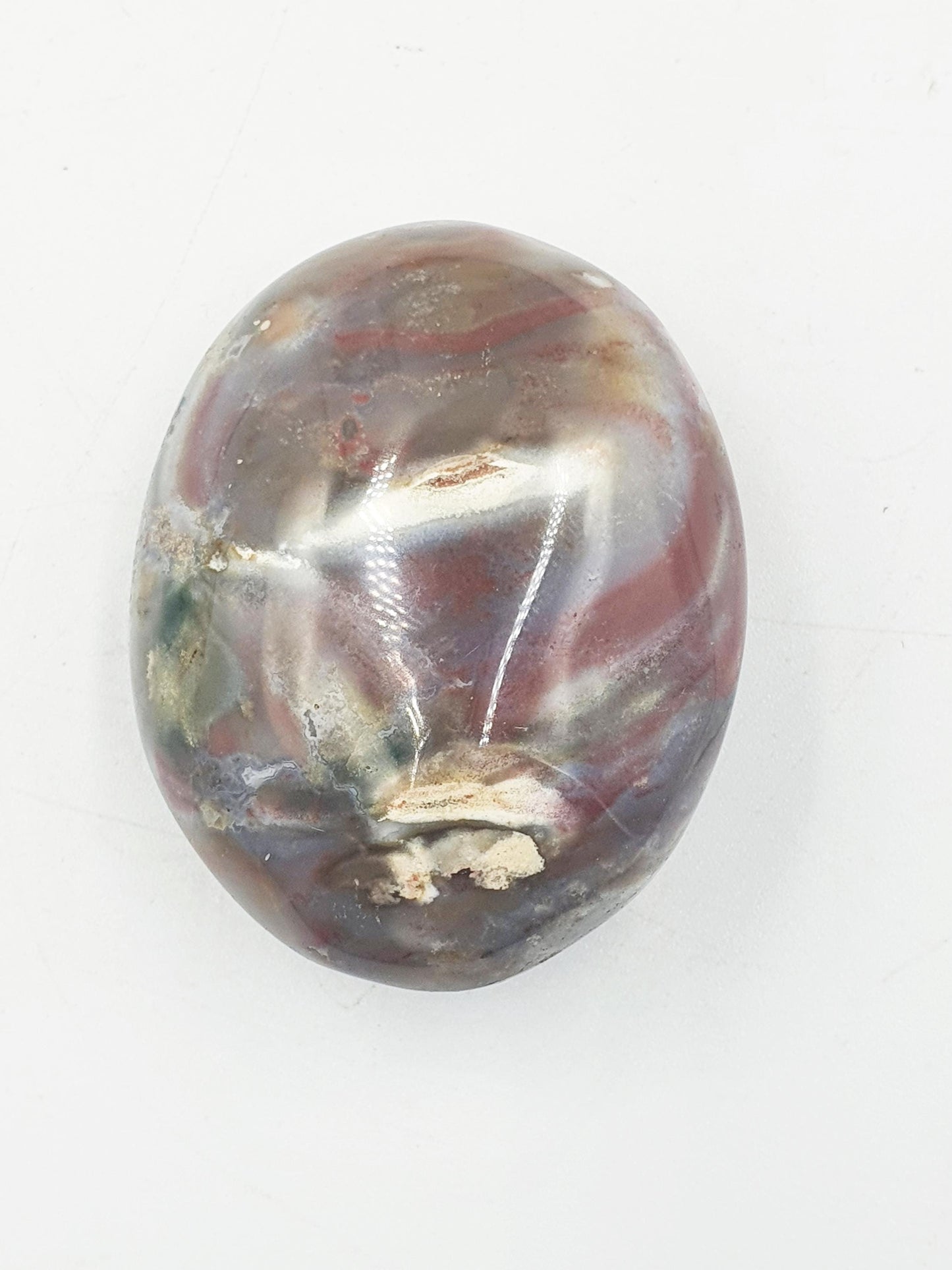 Large Ocean Jasper Palm