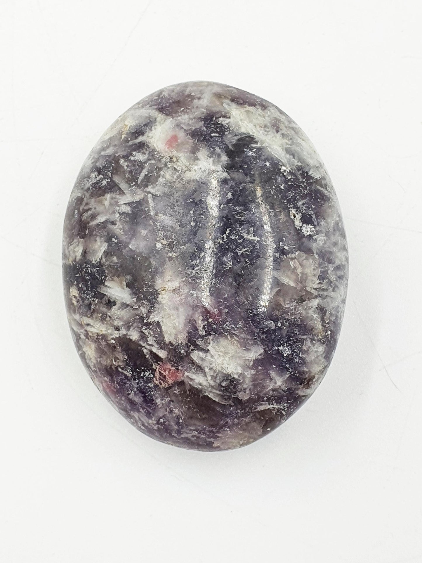 Large Unicorn Stone Palm