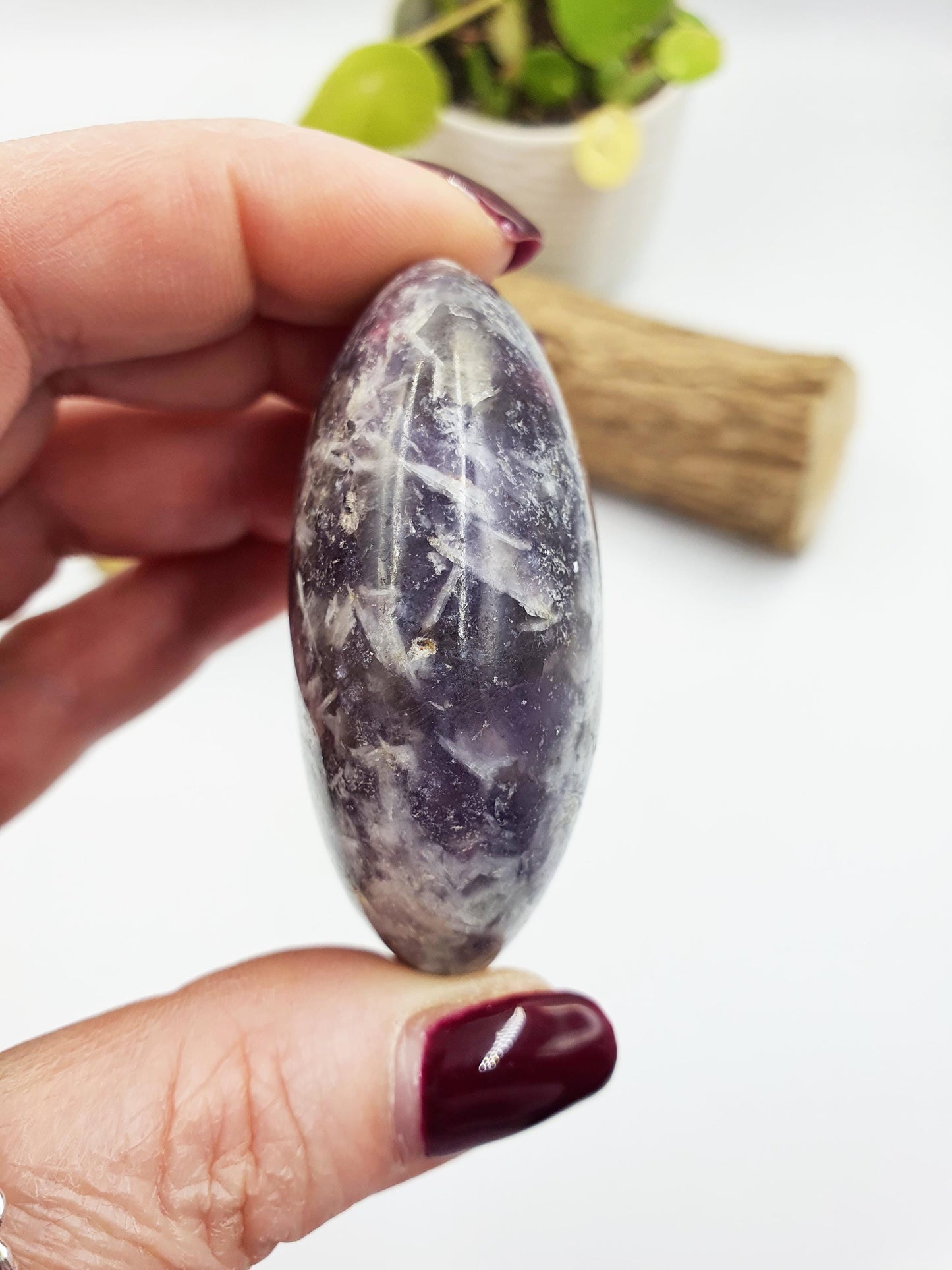 Large Unicorn Stone Palm