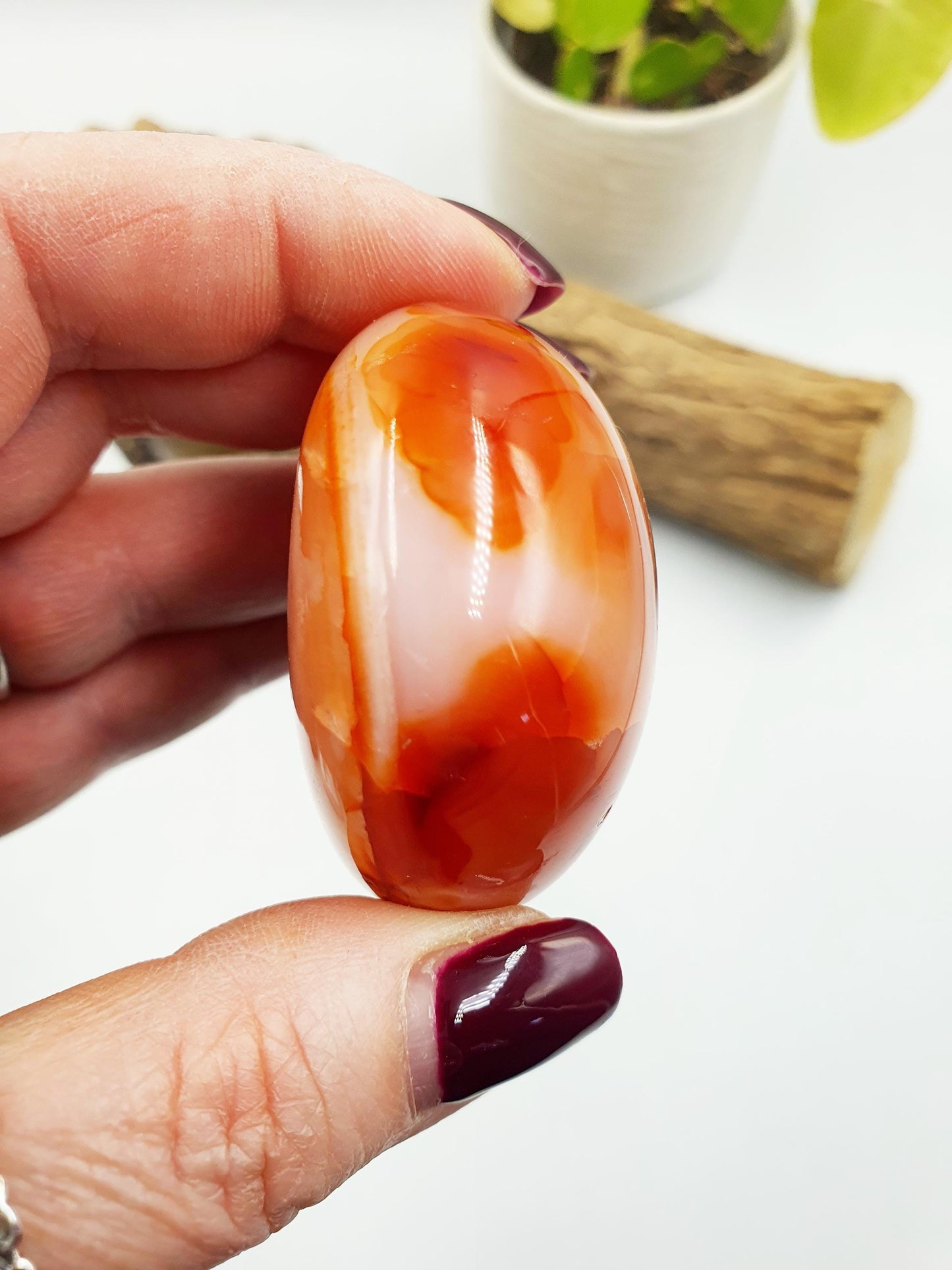 Large Carnelian Palm