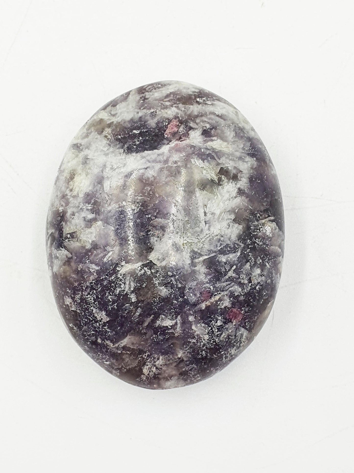 Large Unicorn Stone Palm