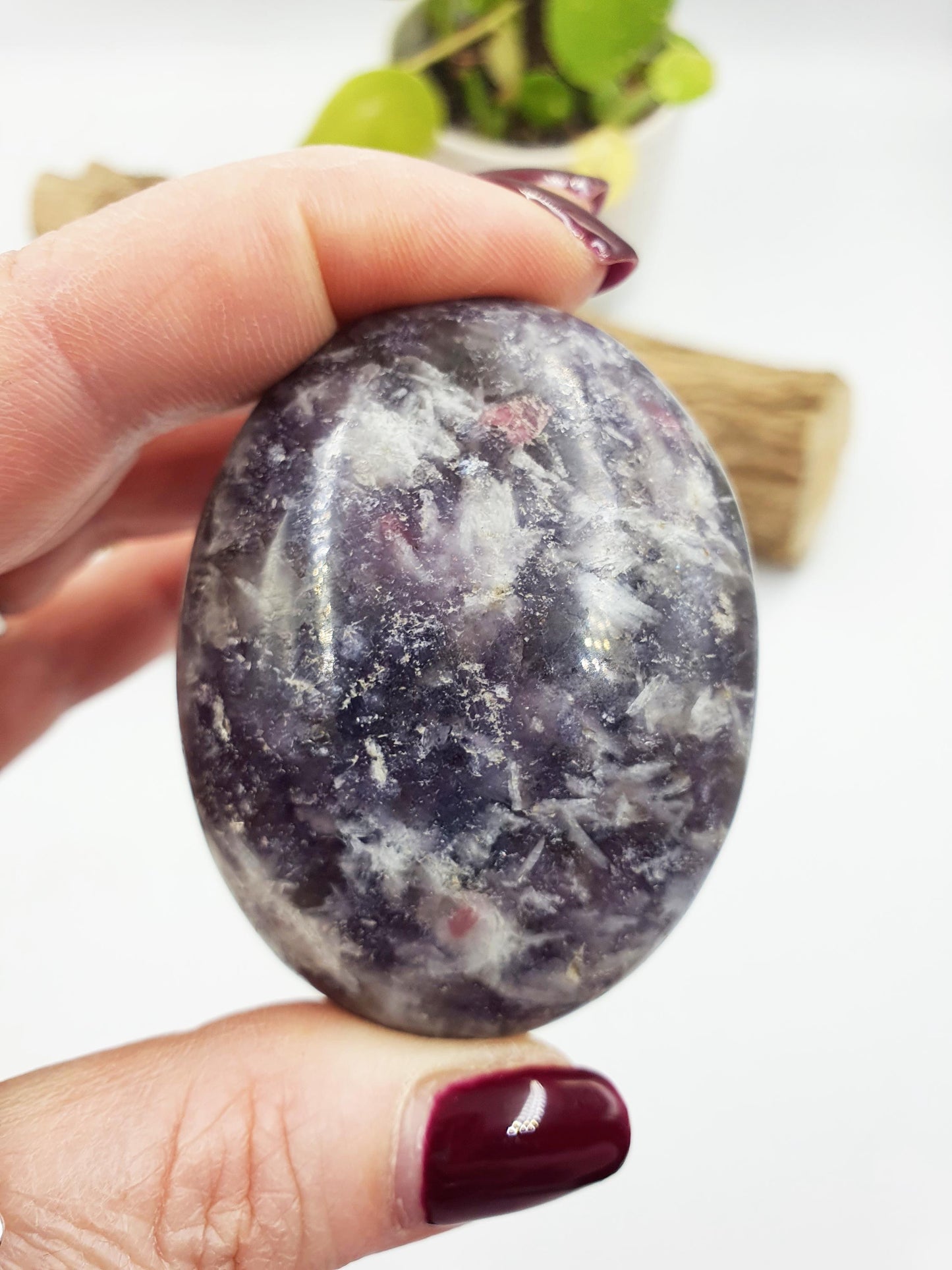 Large Unicorn Stone Palm