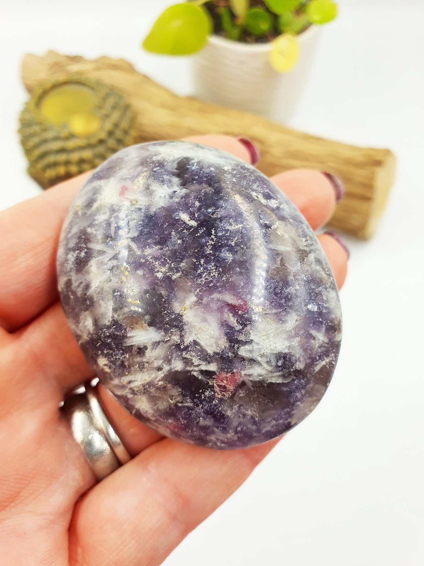 Large Unicorn Stone Palm