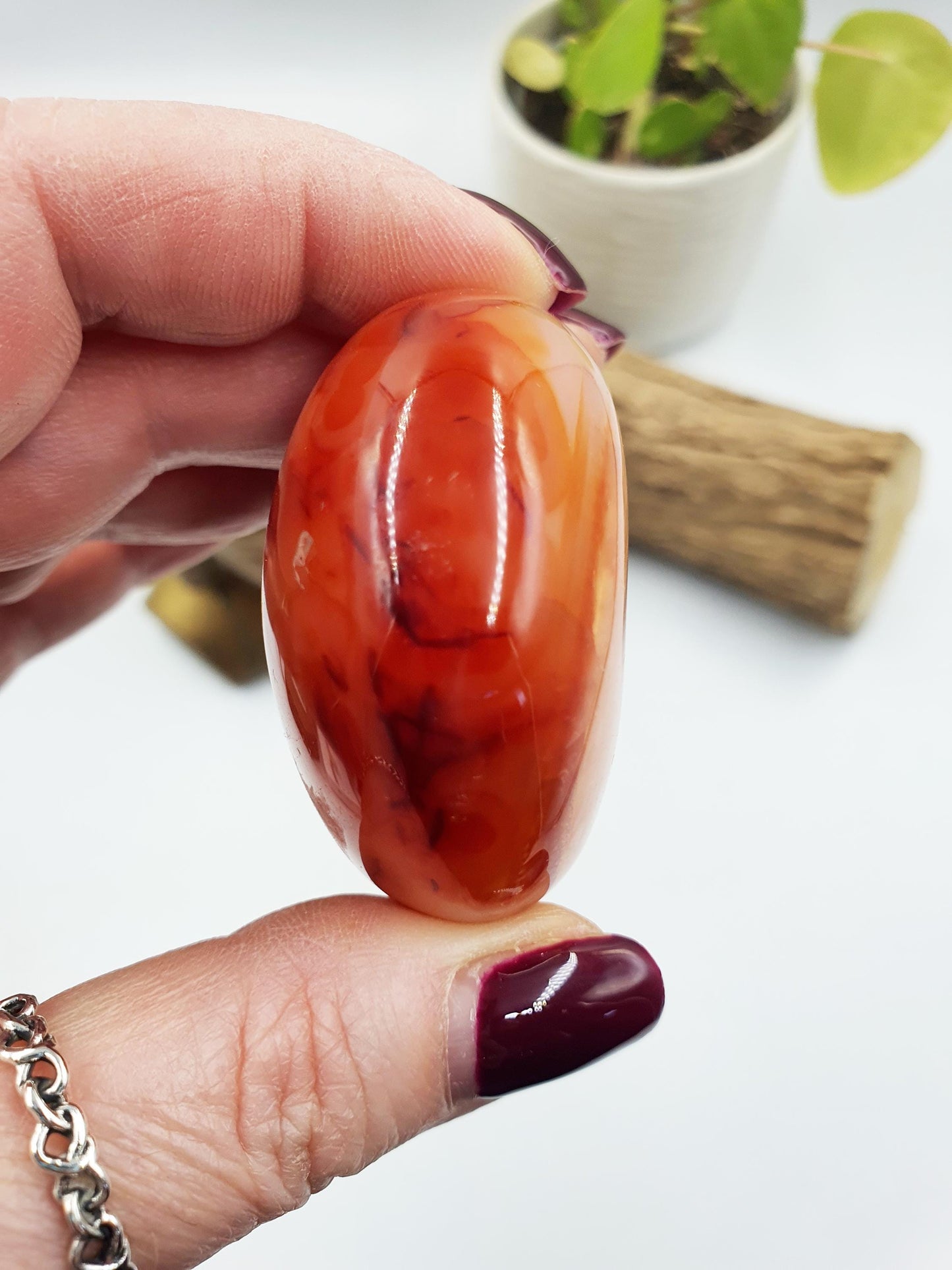 Large Carnelian Palm