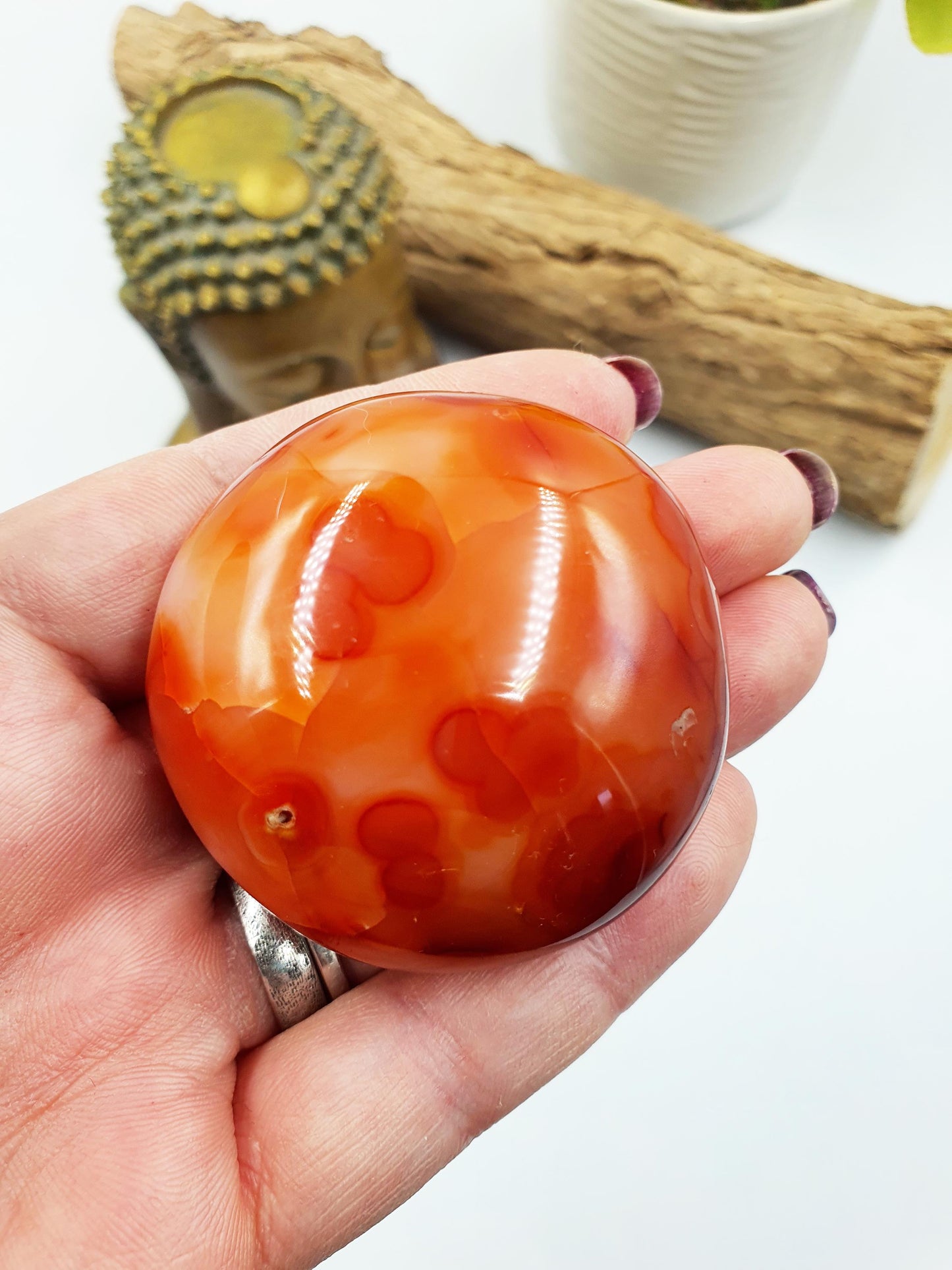 Large Carnelian Palm