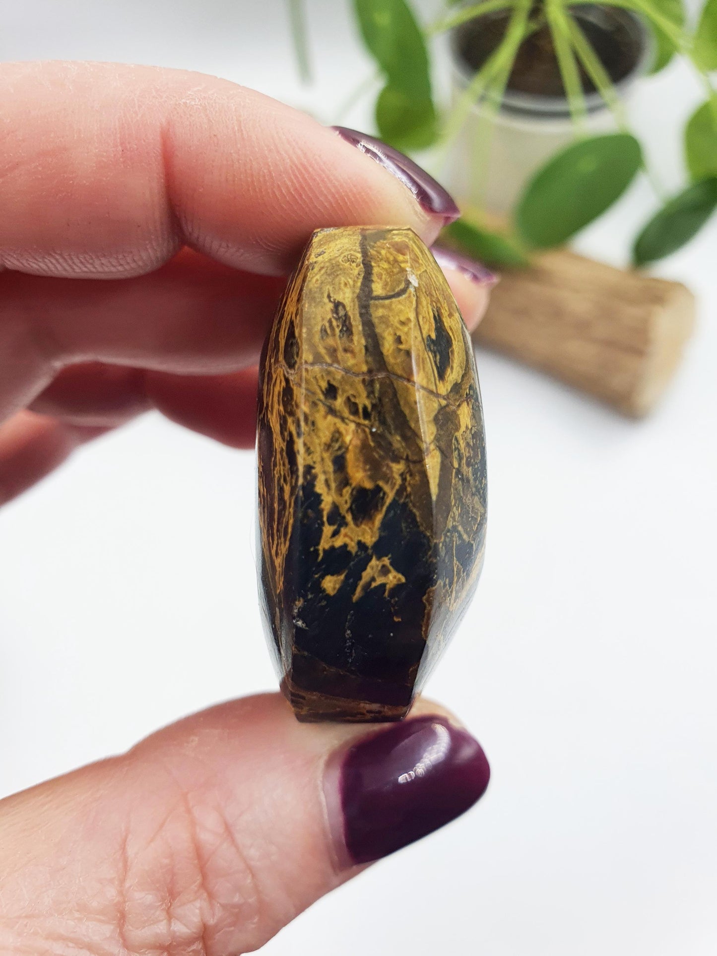 Pietersite Palm