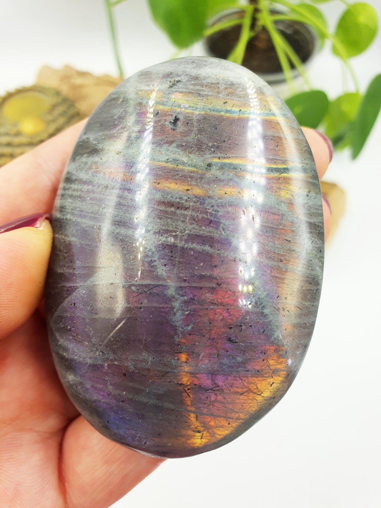 Large Pink and Purple Labradorite Palm