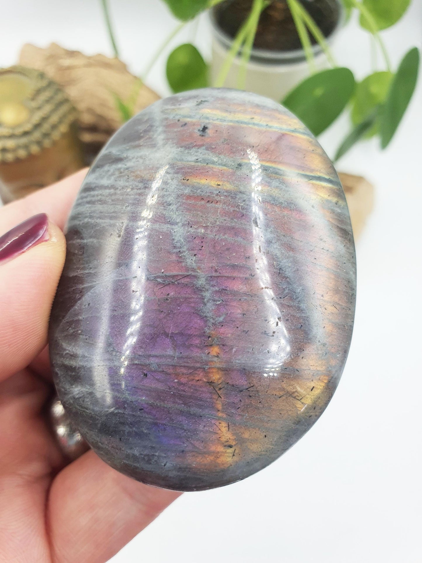 Large Pink and Purple Labradorite Palm