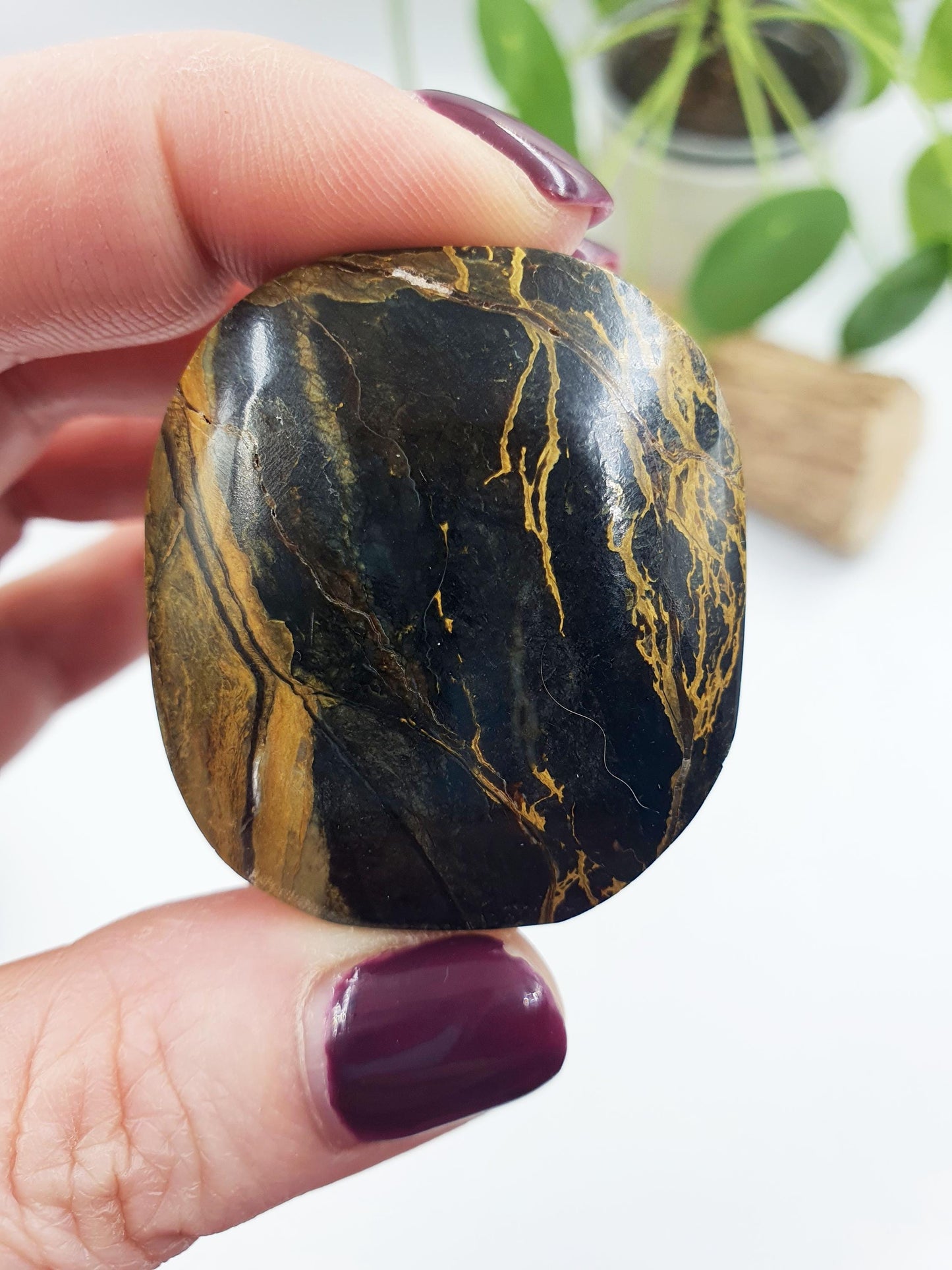 Pietersite Palm