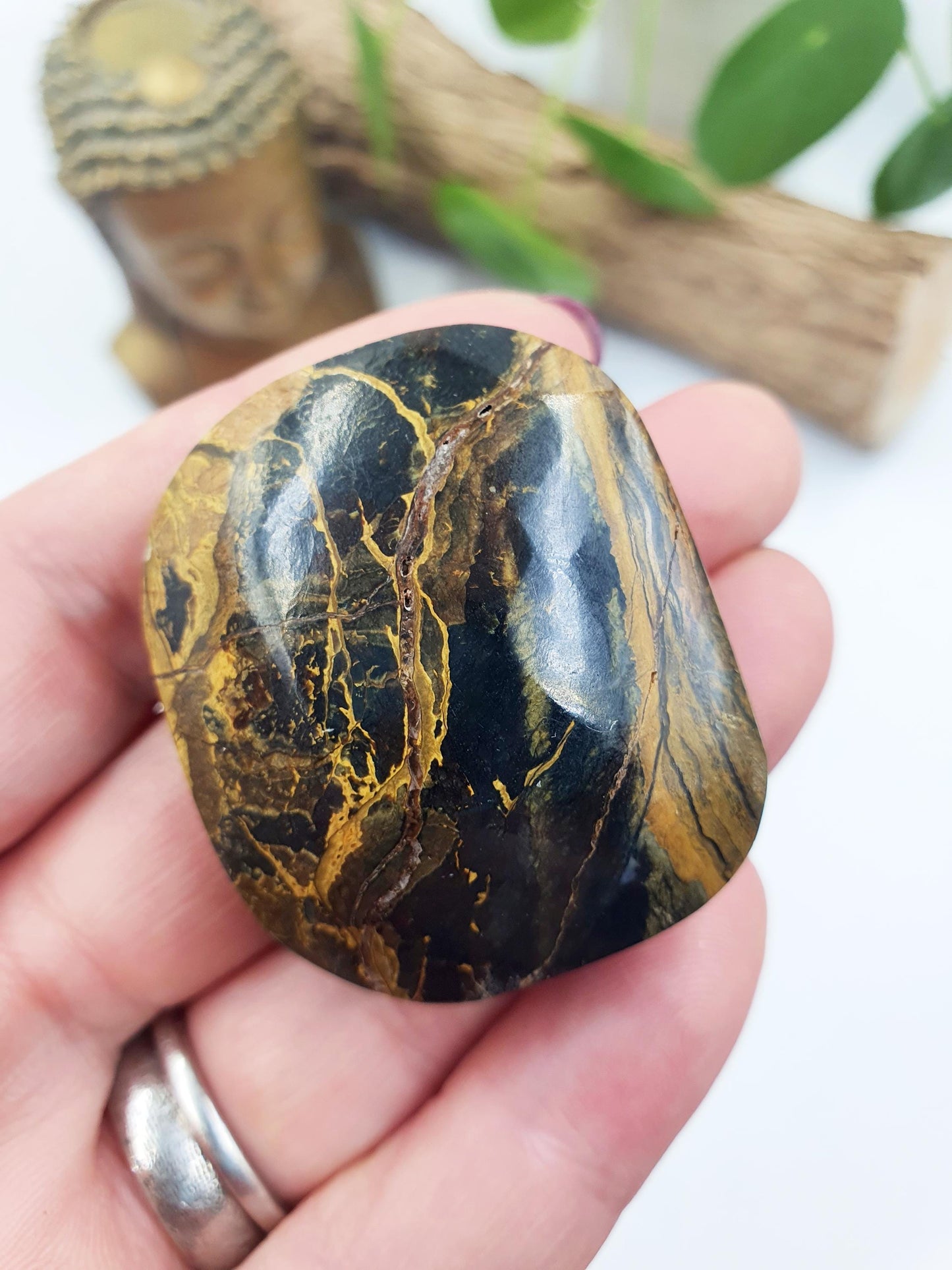 Pietersite Palm
