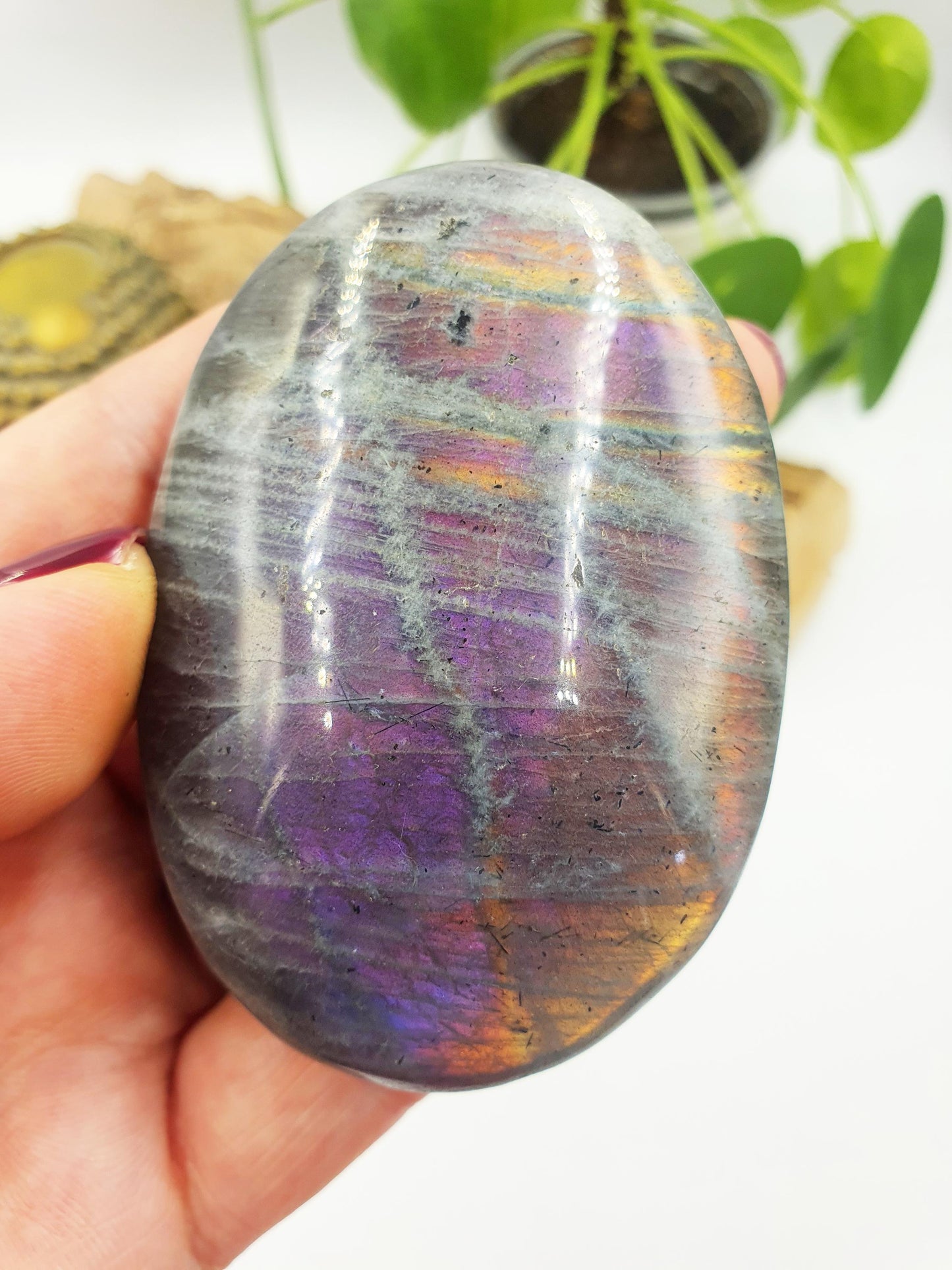 Large Pink and Purple Labradorite Palm