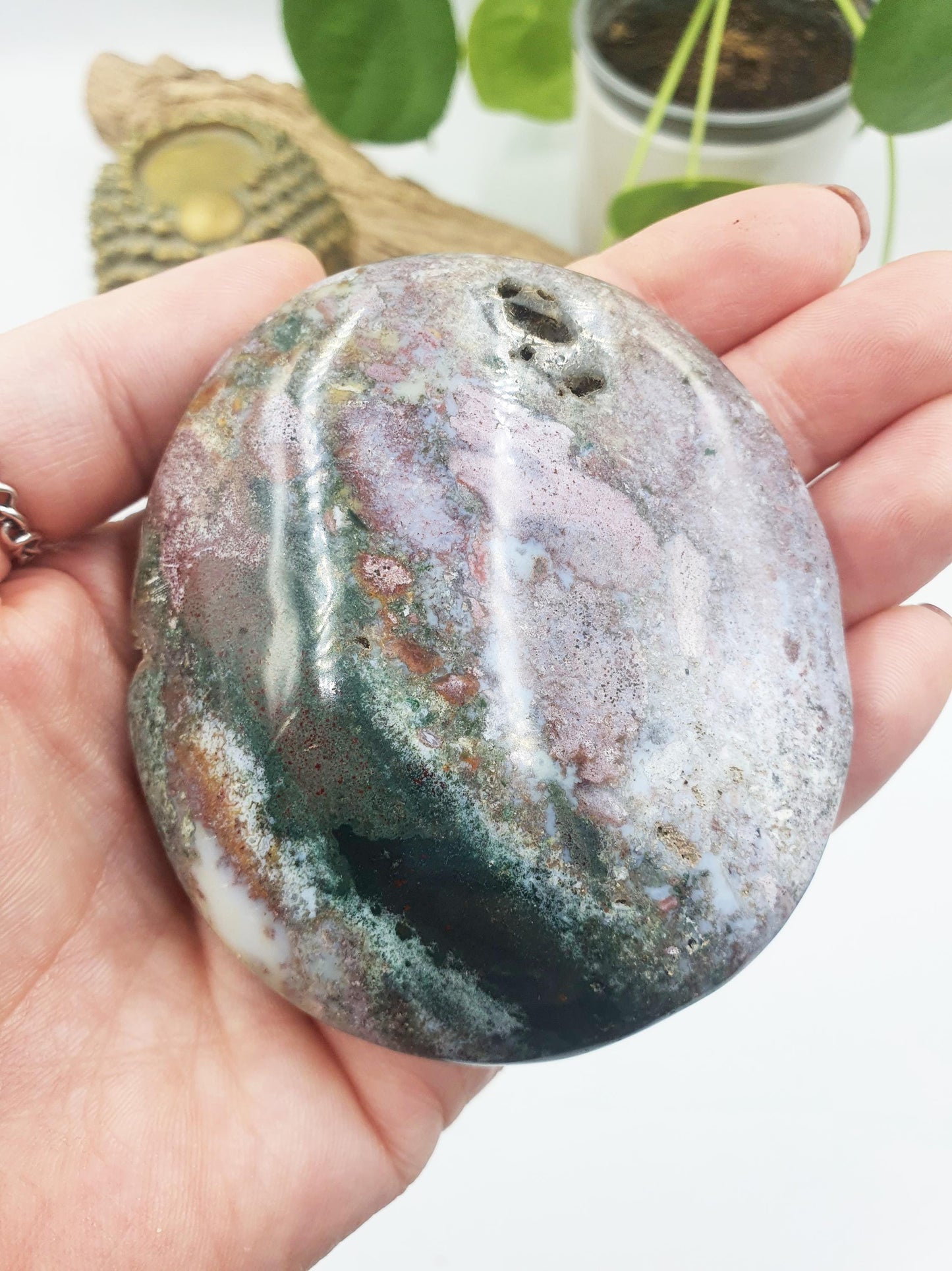 Huge Ocean Jasper Palm