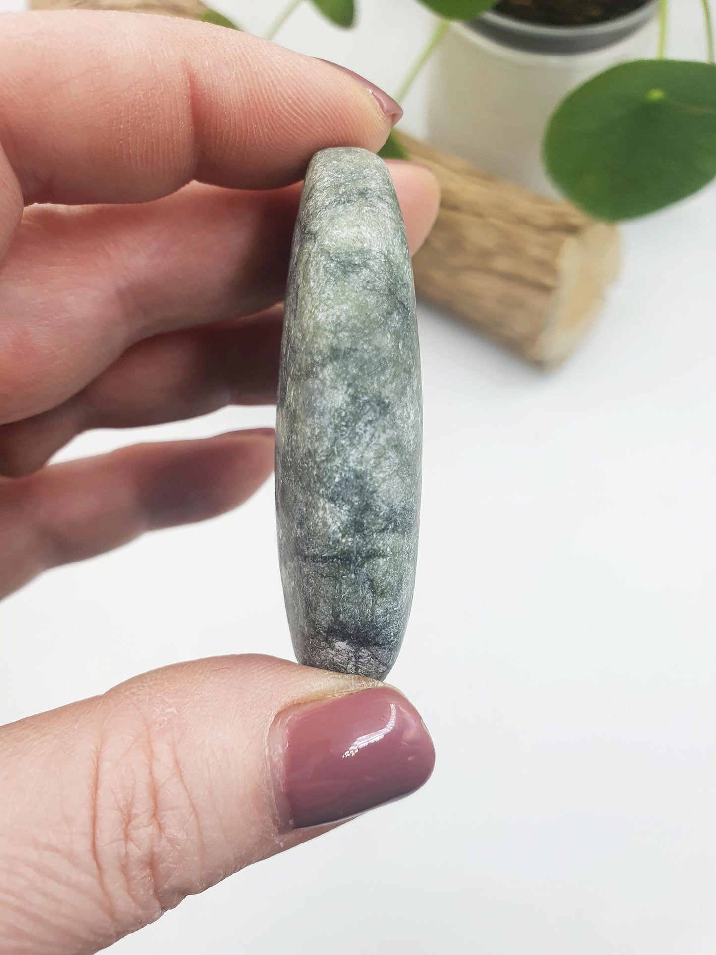 Green Jade Palm