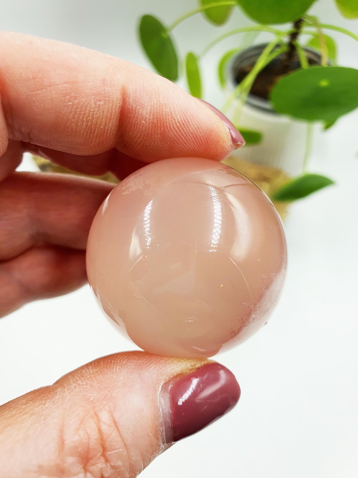 Rare Rose Quartz with Garden and strong Starlight and rainbow