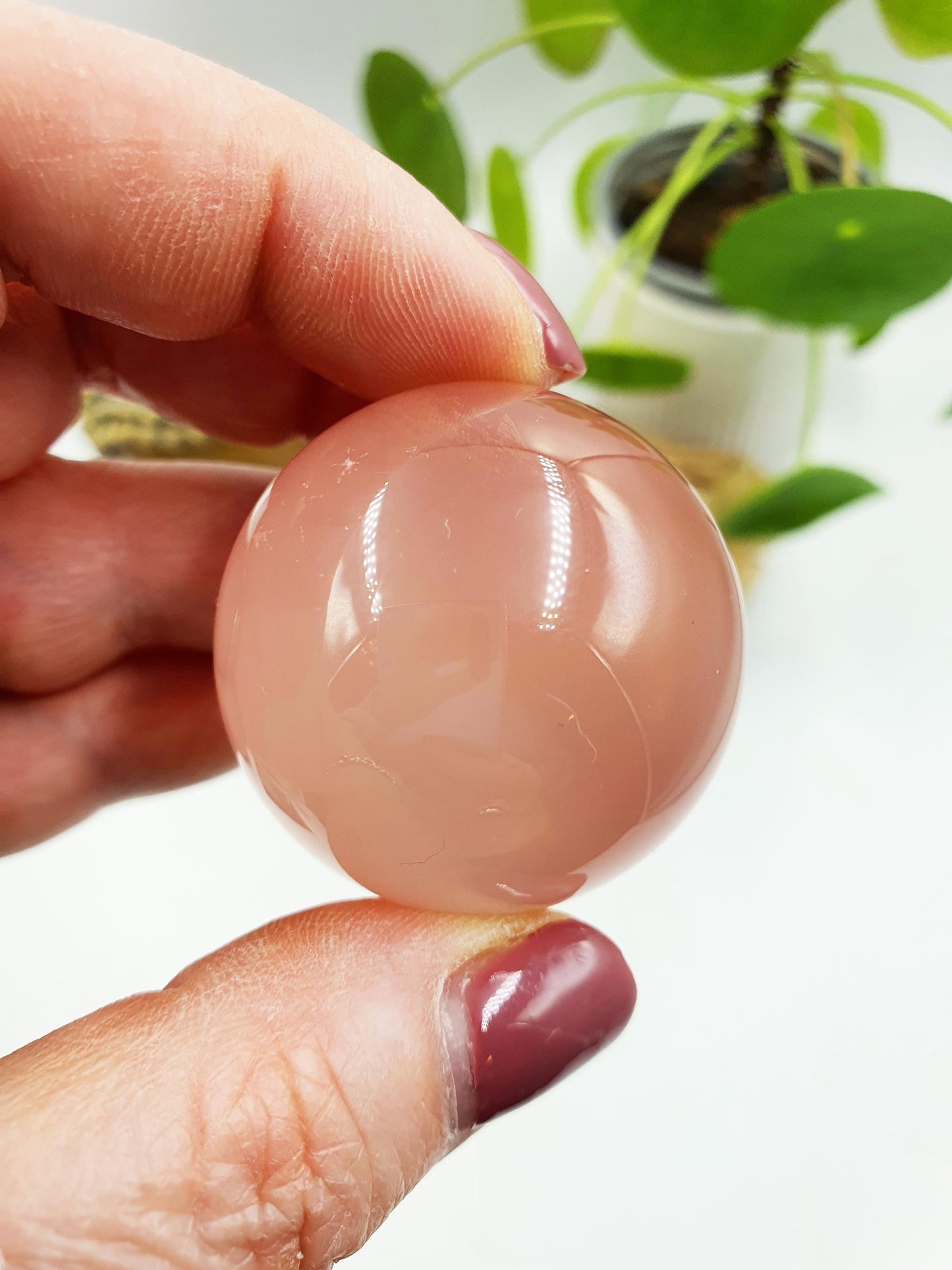 Rare Rose Quartz with Garden and strong Starlight and rainbow