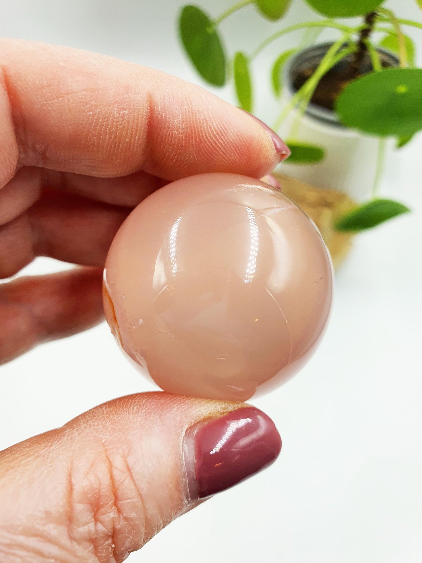 Rare Rose Quartz with Garden and strong Starlight and rainbow