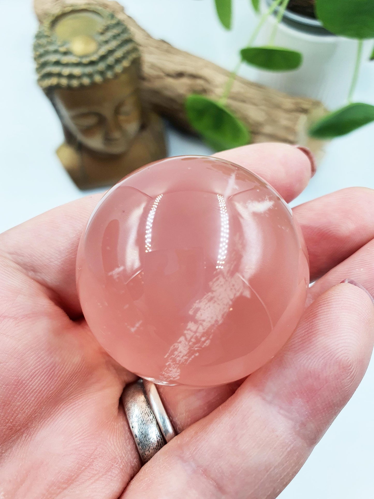 Rare Rose Quartz with Garden and strong Starlight and rainbow