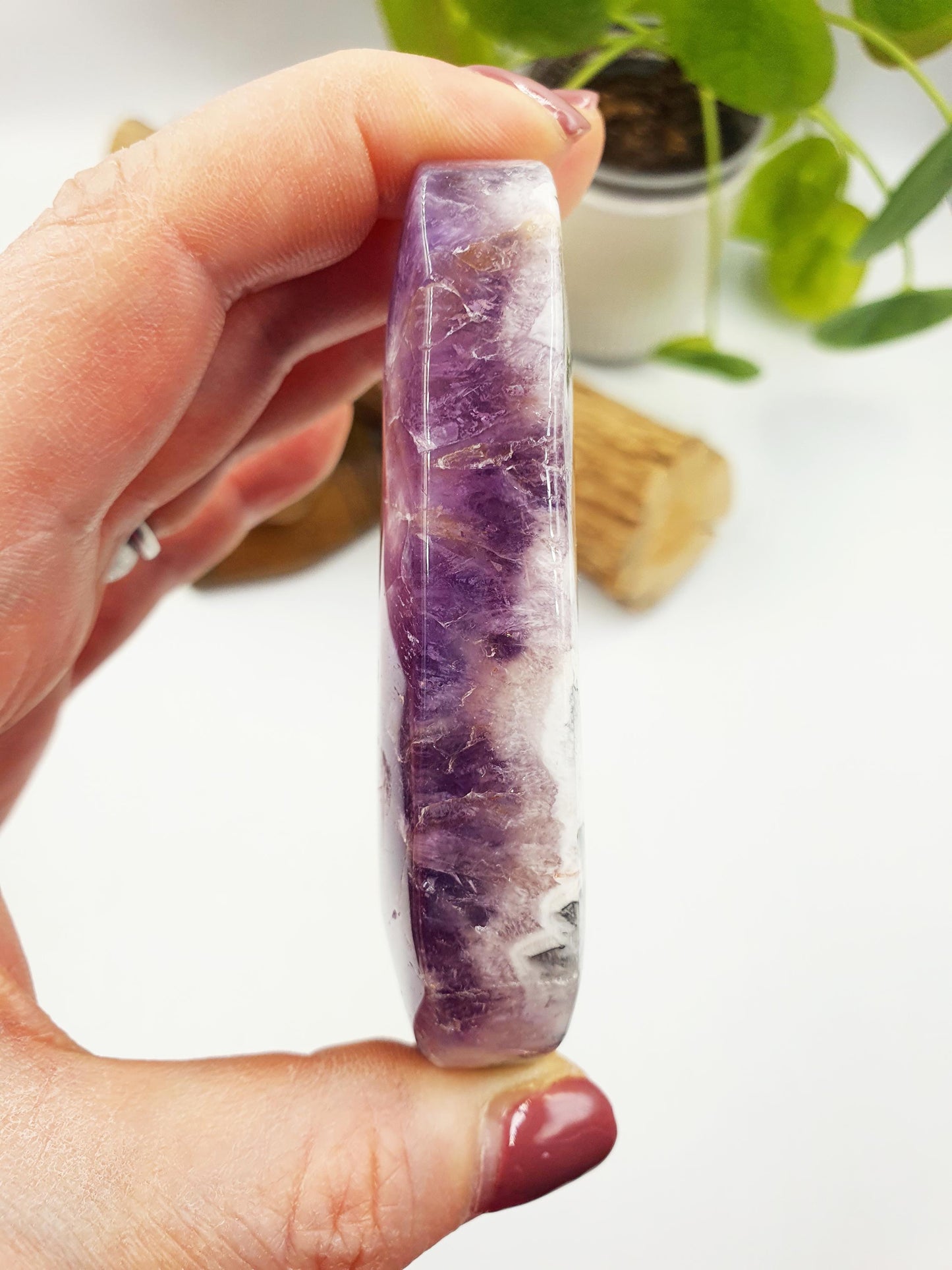 Large Unique Dream Amethyst Palm
