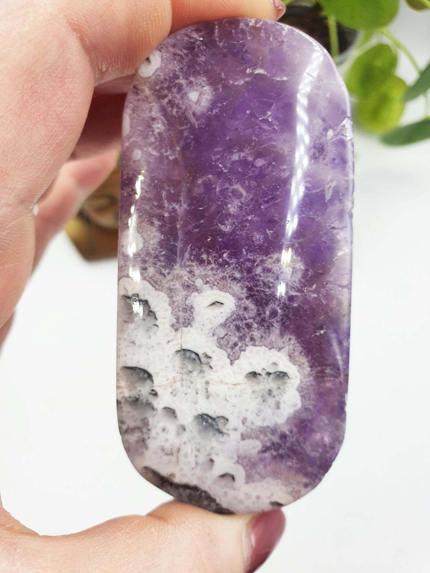 Large Unique Dream Amethyst Palm