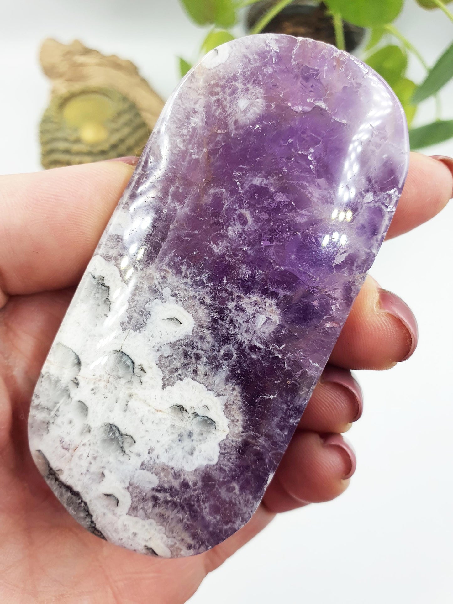 Large Unique Dream Amethyst Palm