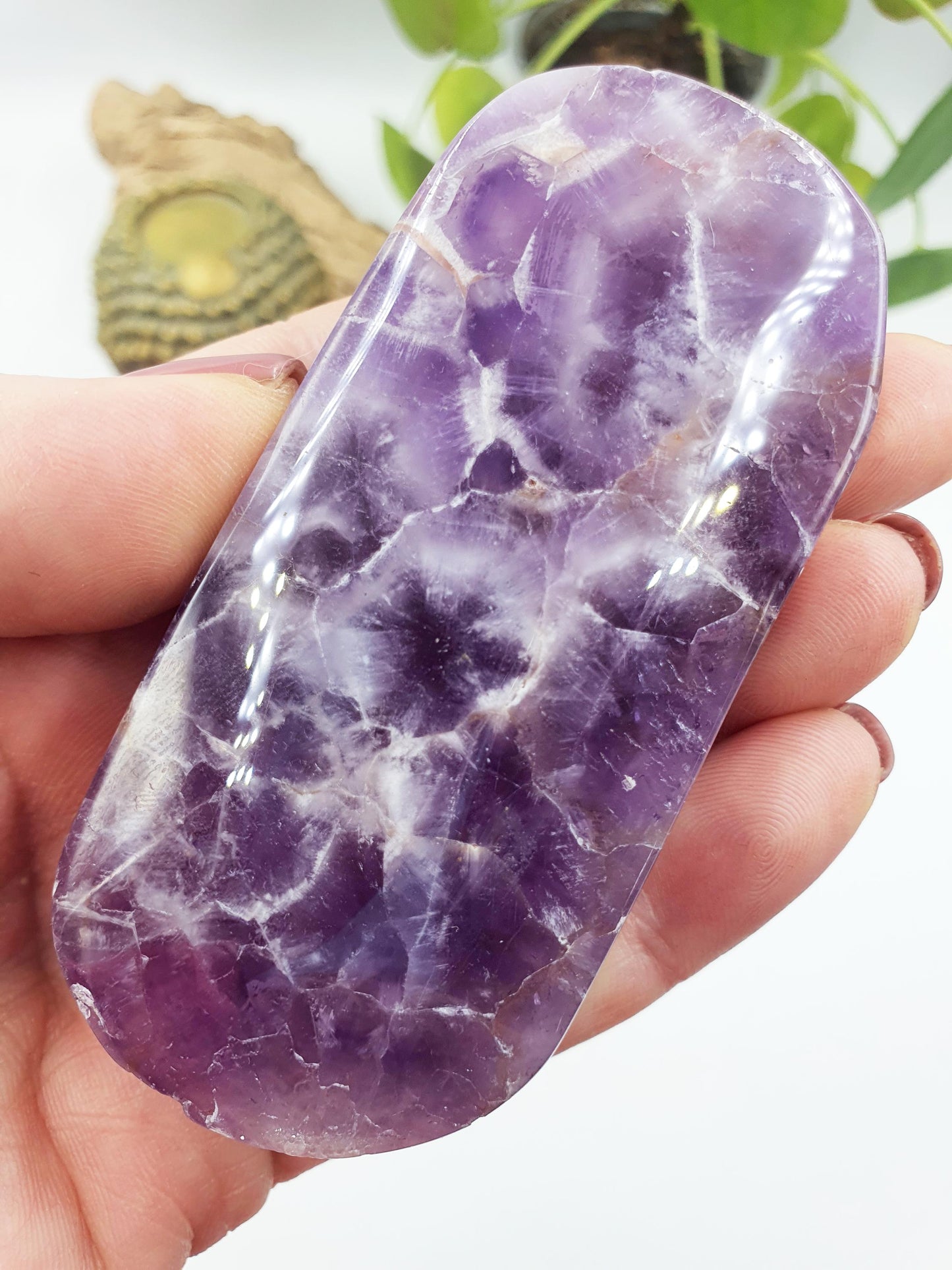 Large Unique Dream Amethyst Palm