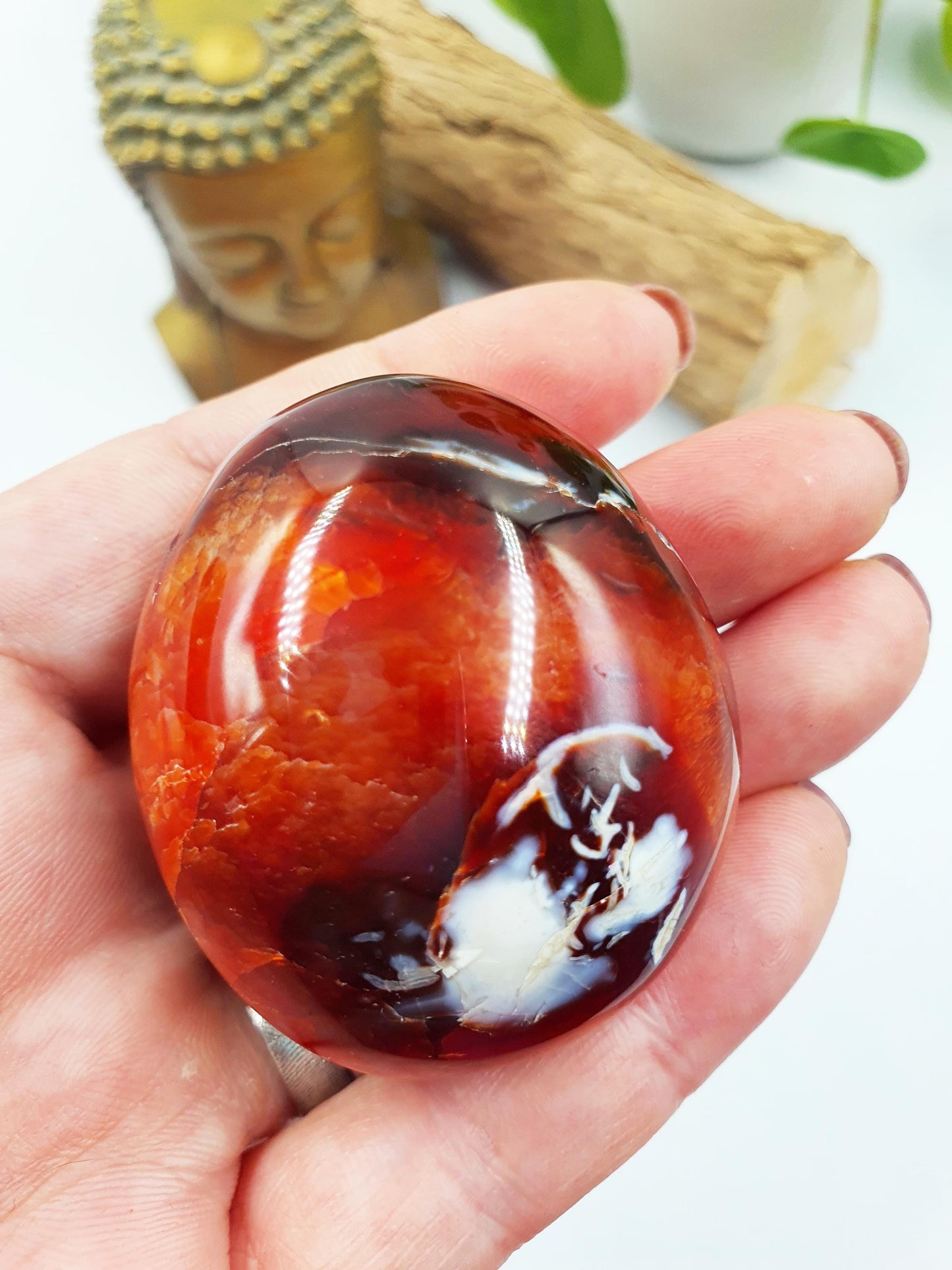 Carnelian Palm