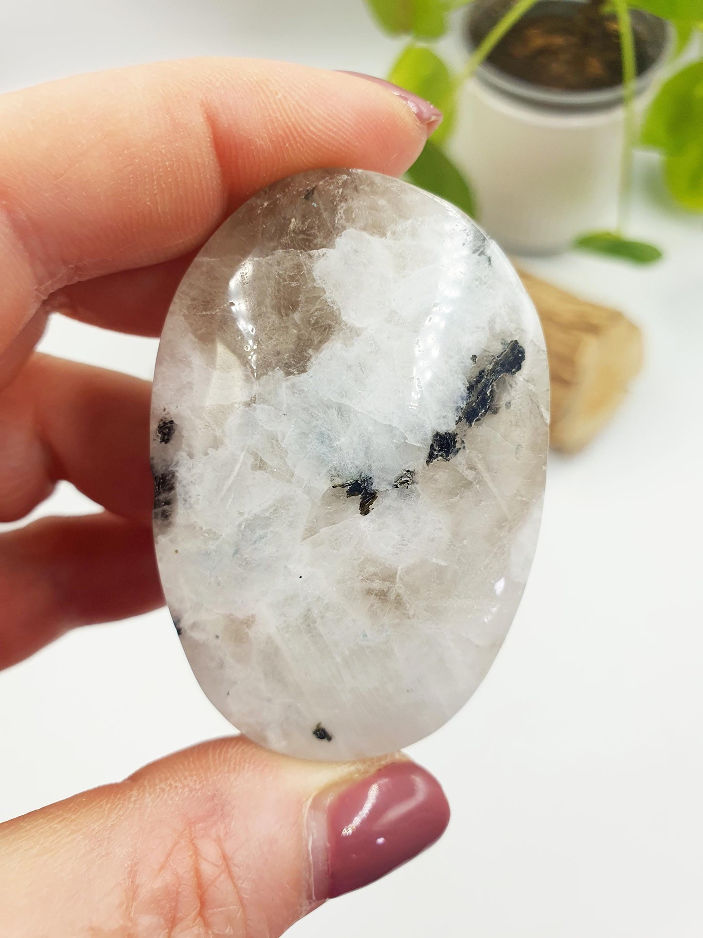 Rainbow Moonstone Palm