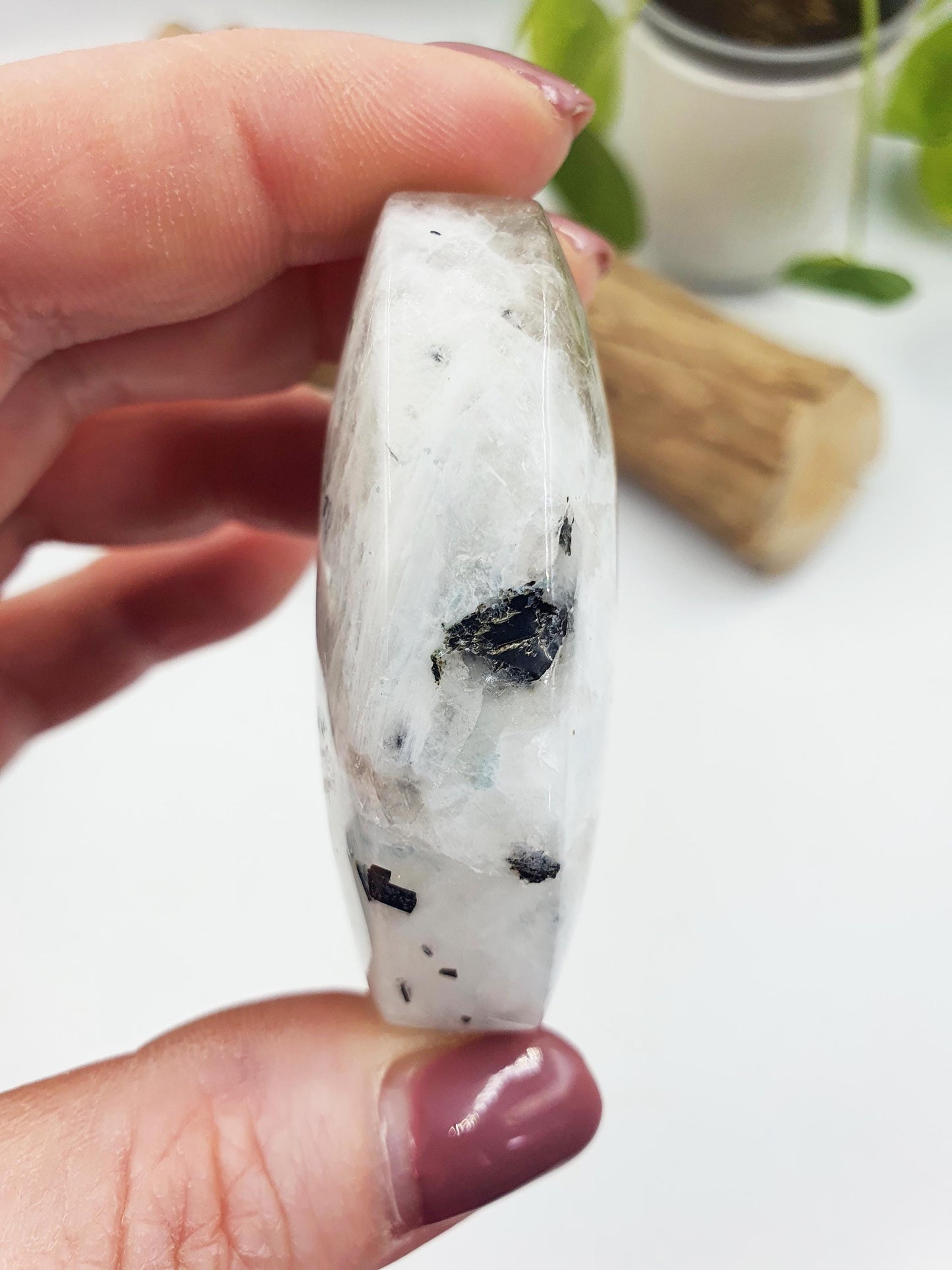 Rainbow Moonstone Palm