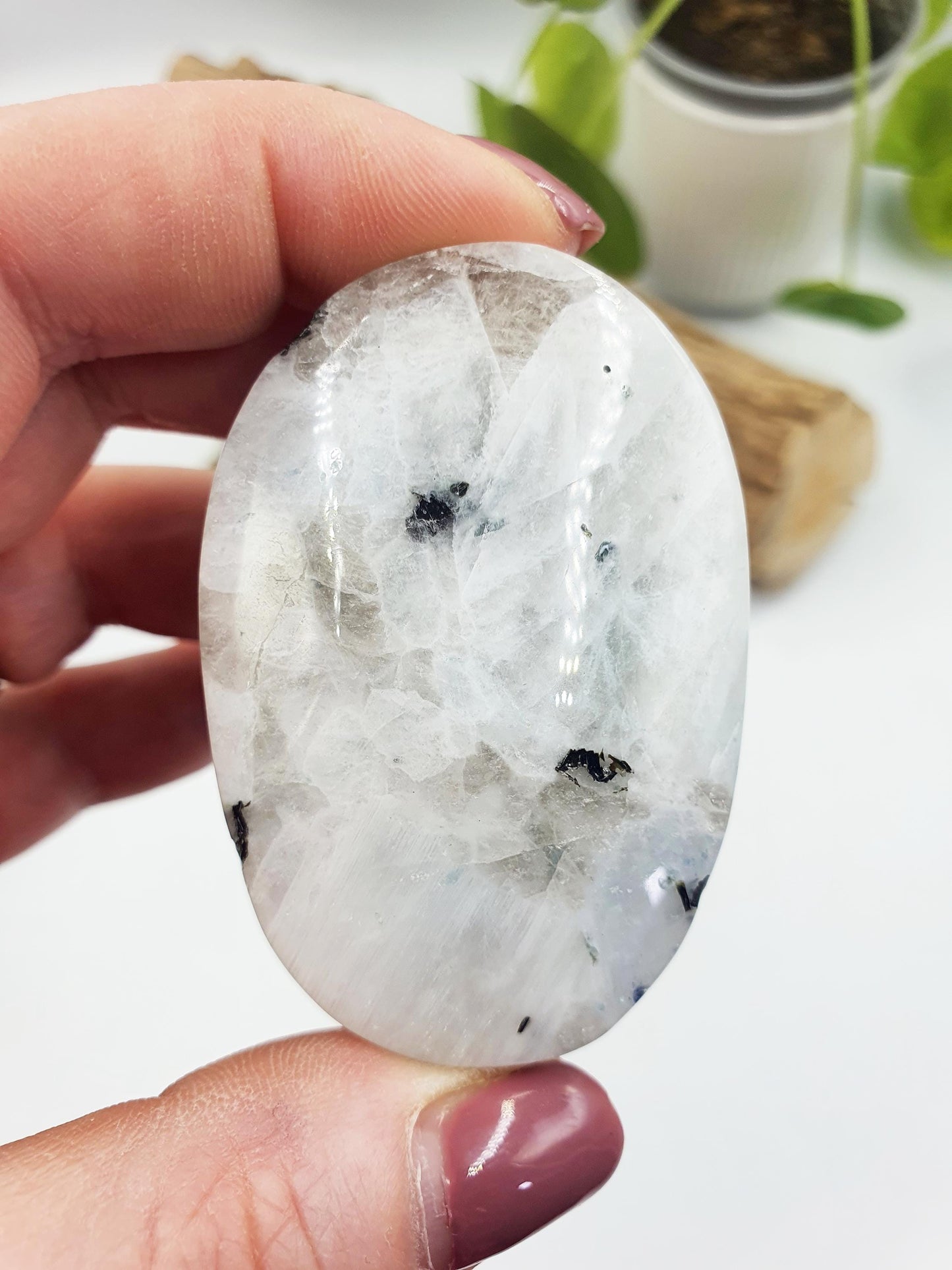 Rainbow Moonstone Palm