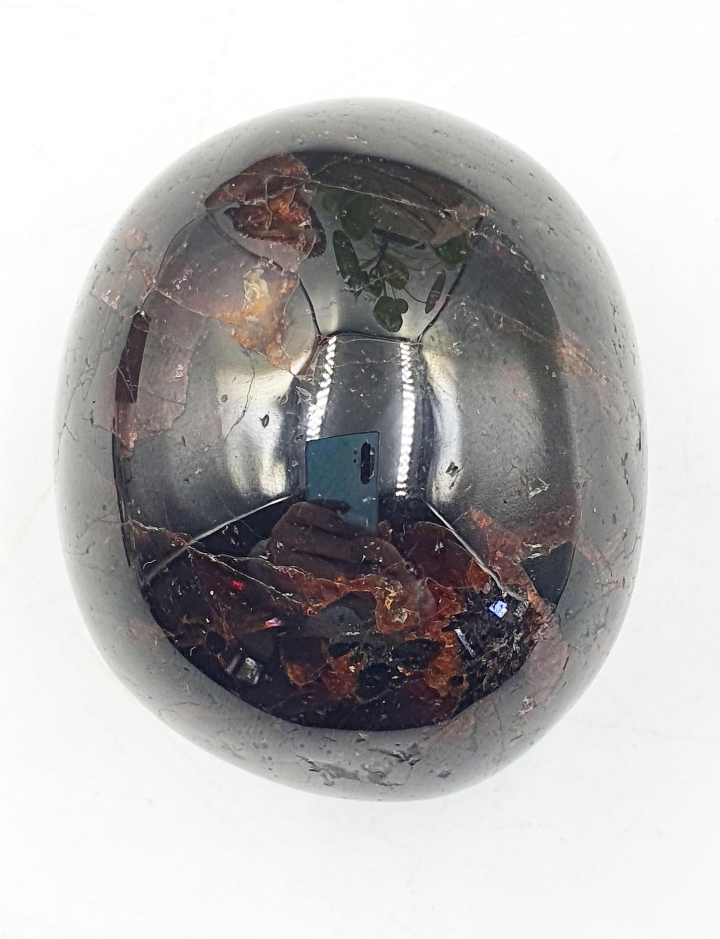 Large Garnet Palm