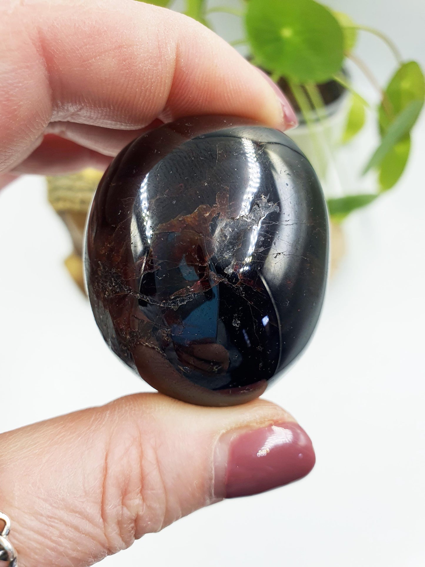 Large Garnet Palm