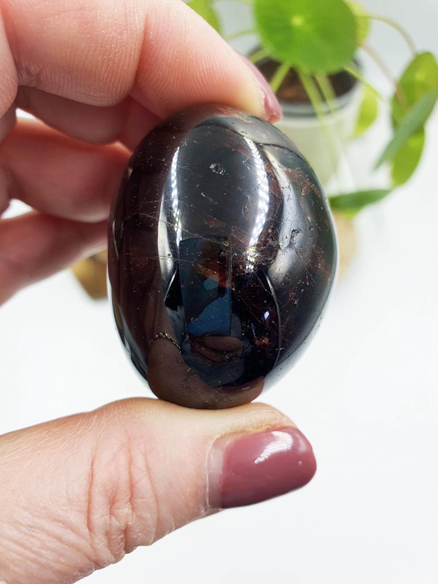 Large Garnet Palm