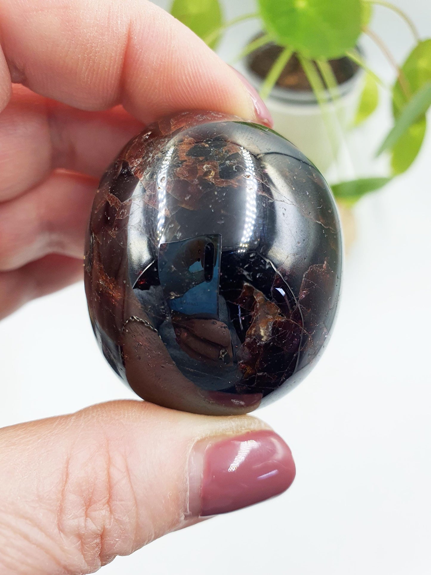 Large Garnet Palm